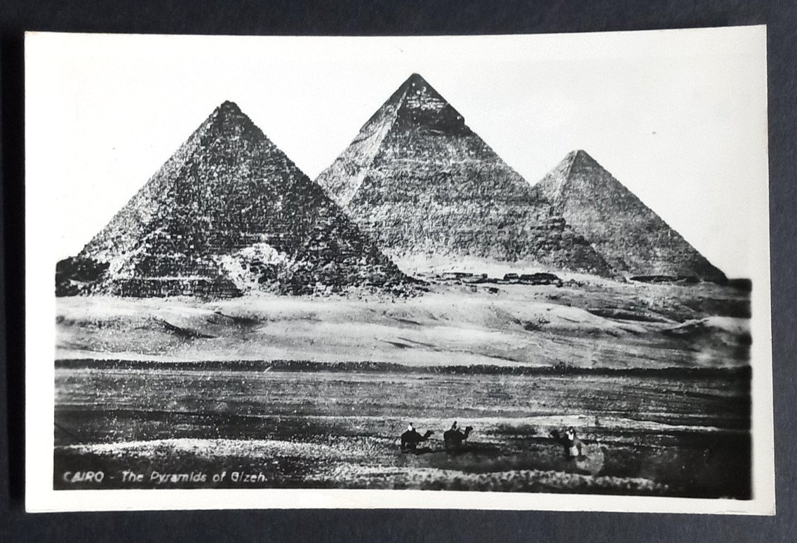 The Pyramids of Gizeh Giza Cairo Egypt 1950s Real Photo Postcard RPPC Camels UNP