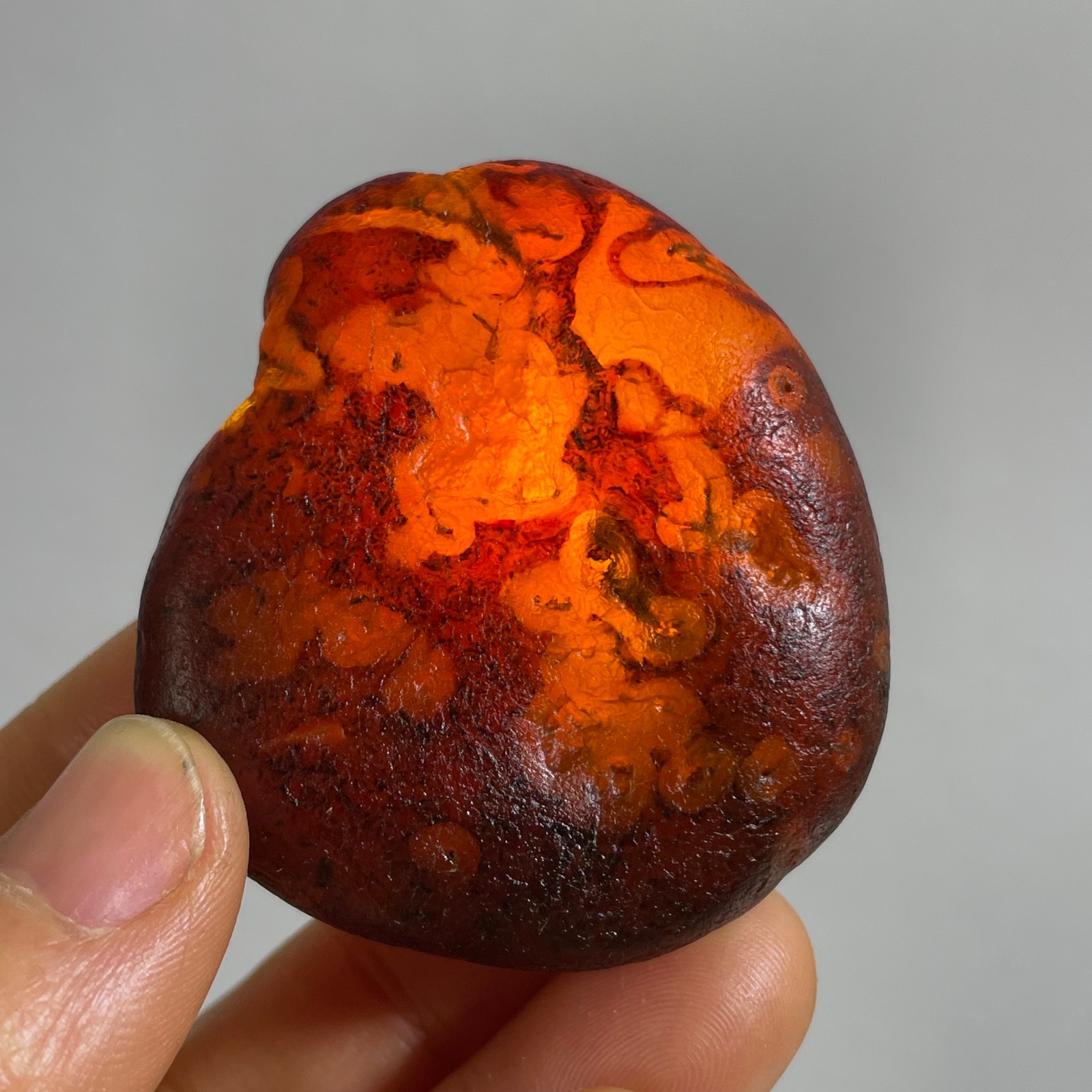 61g Bonsai Suiseki- Gobi Agate Eyes Stone-Rare Stunning Viewing