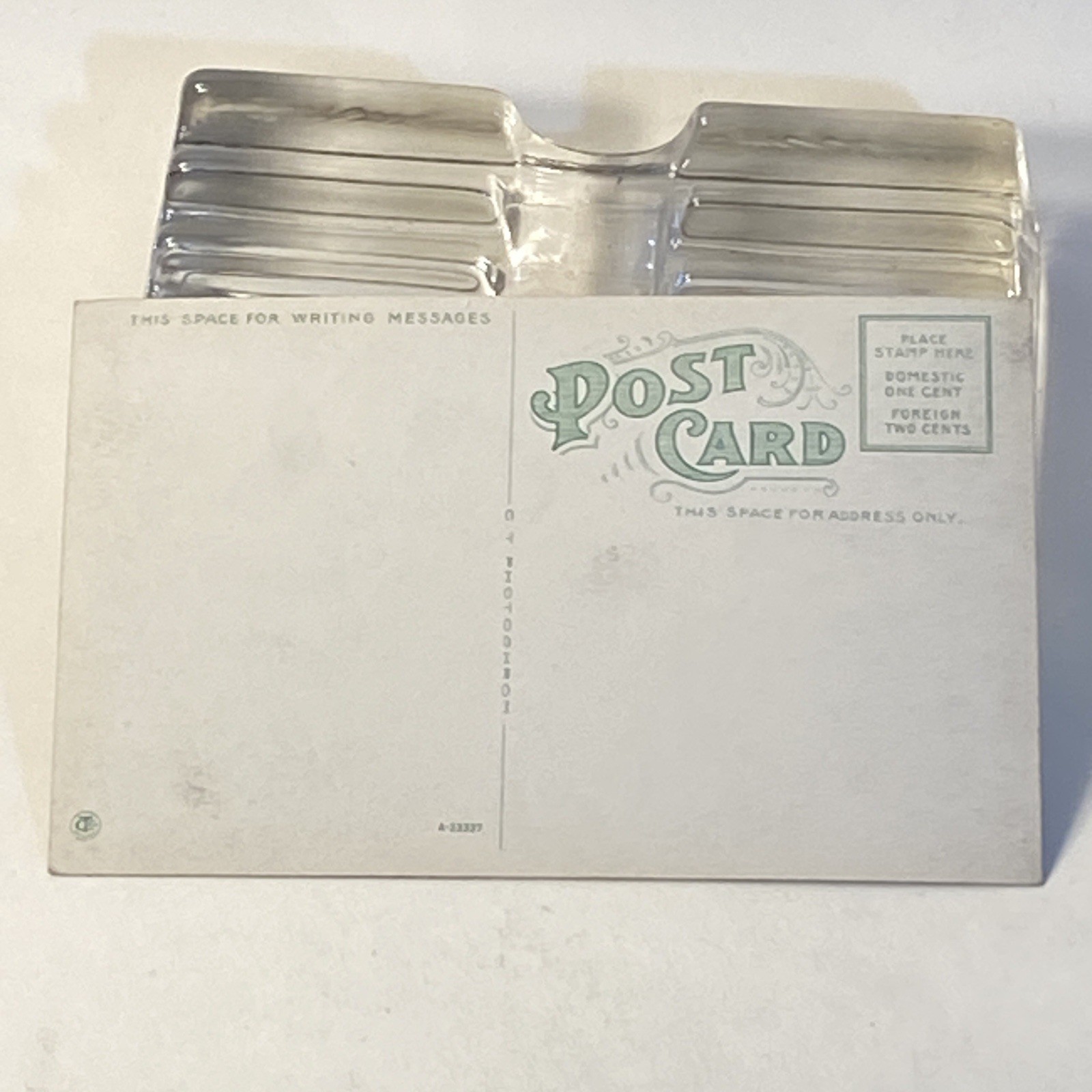 Cactus in Bloom Postcard, Western Publishing & Novelty Co., 902, Los Postcard
