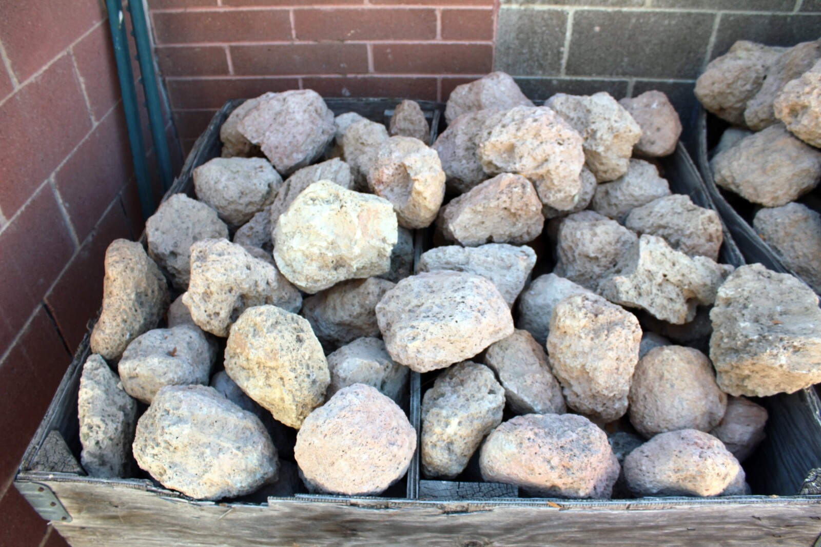 Large Pumice Sample from Oregon • 6″ to 10″ Diameter • 2 to 3 pounds
