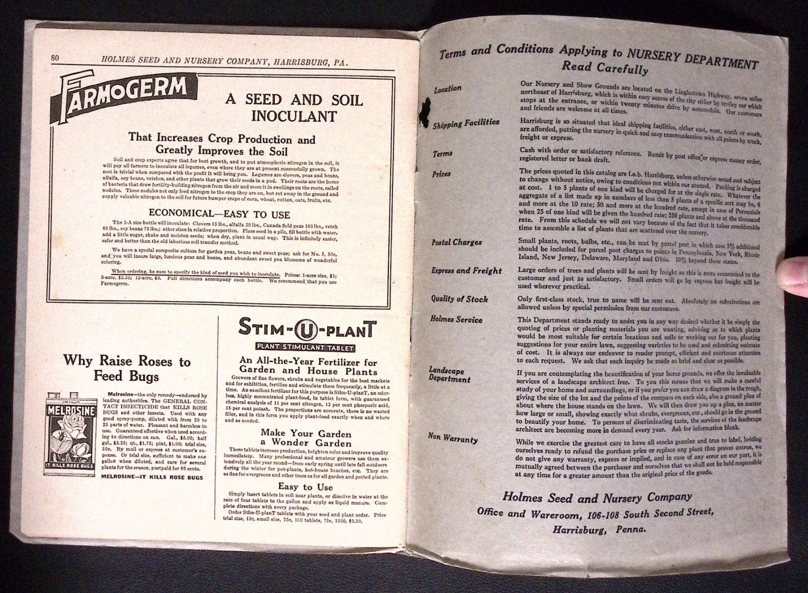 1923 Holmes Seed and Nursery Co Harrisburg PA Seed Catalog Flowers Trees Veggies