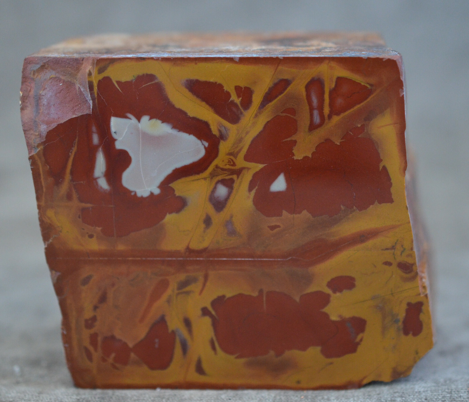 Polished Noreena Jasper Specimen Pilbara Region Western Australia 1 lb 7 oz