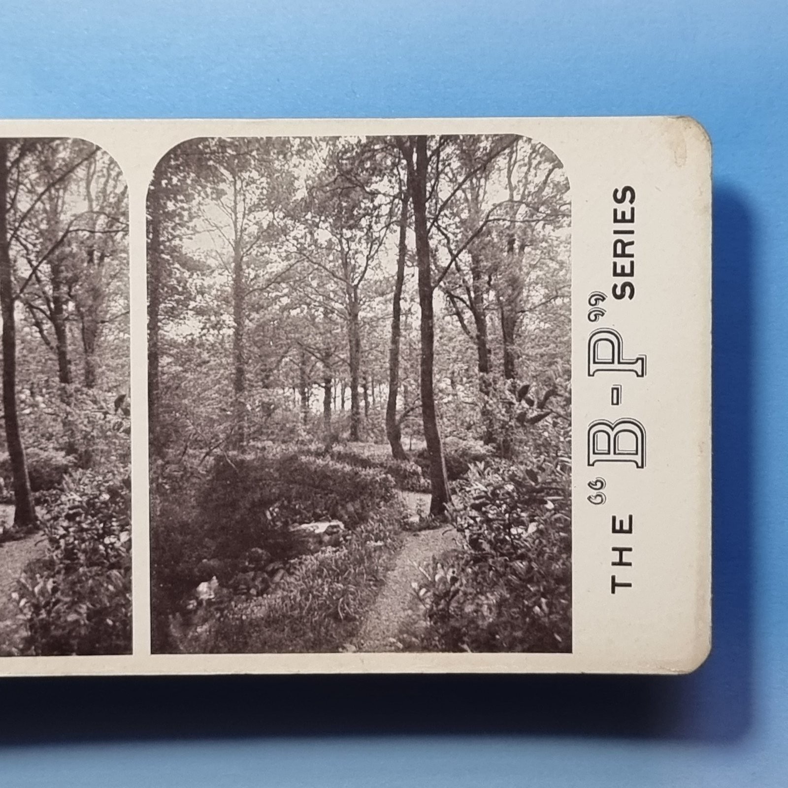 Lake District Victorian Stereoview 3D C1900 Barrow Falls Woods Cumbria