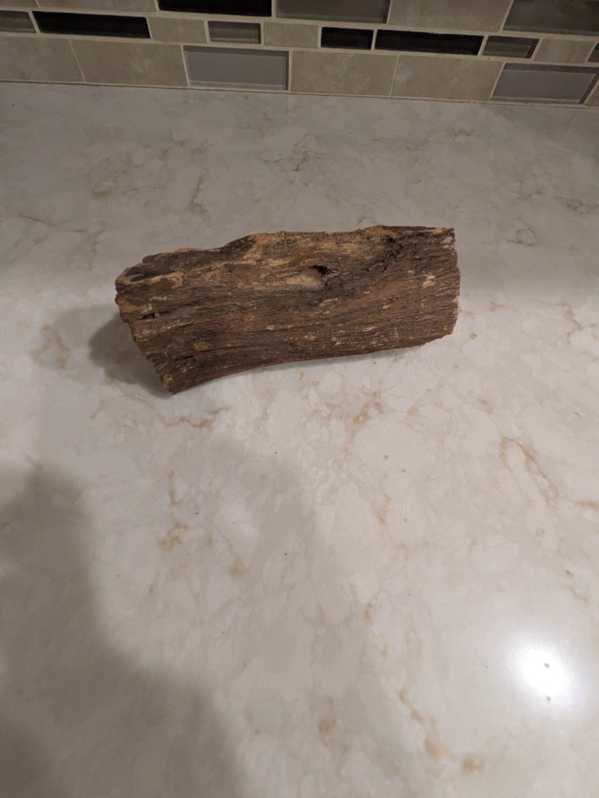 Petrified Wood Piece, 1 lb 7 oz & 6″
