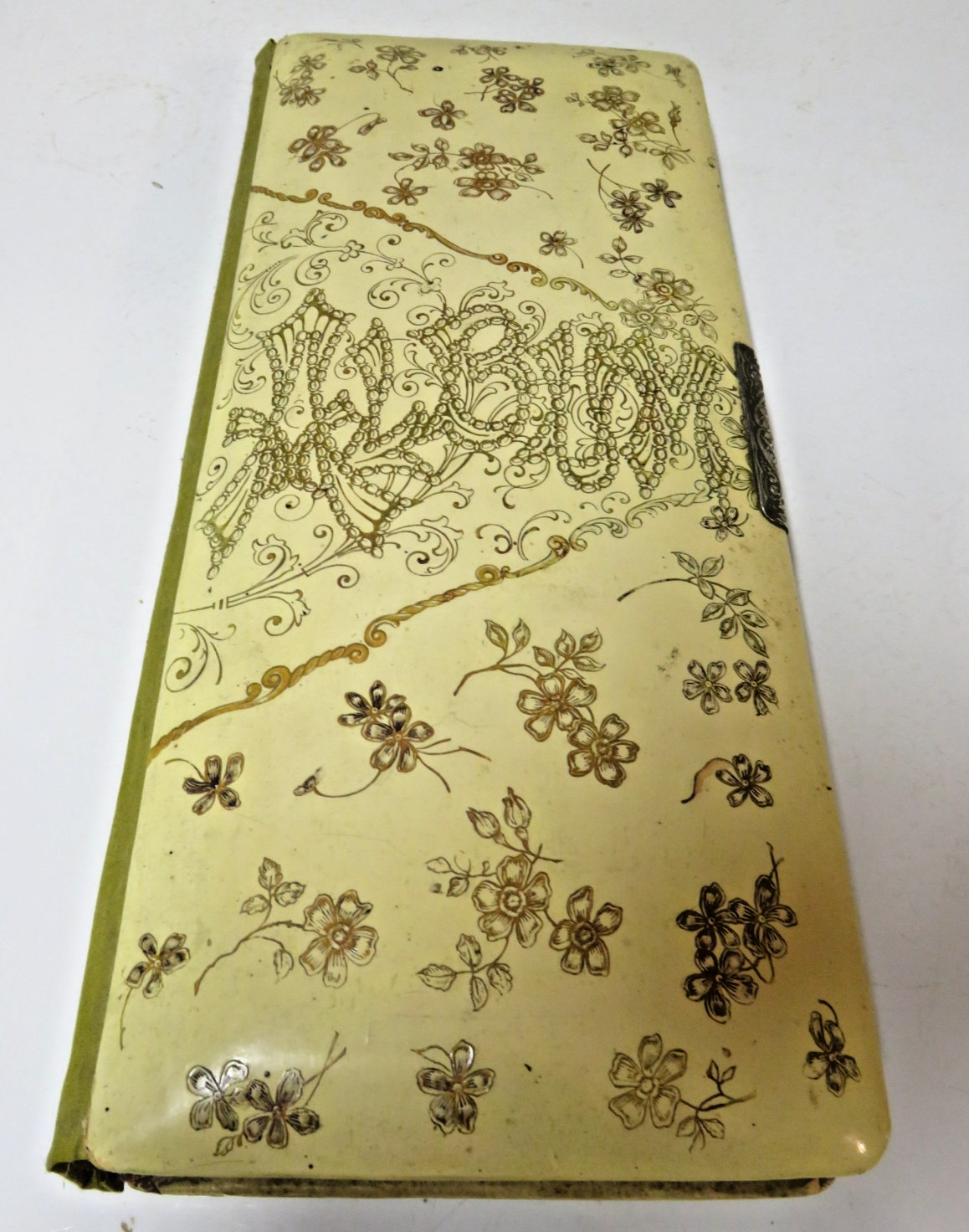 TALL CELLULOID flowers Antique floral Photograph Album 12 pages holds 48 Photos
