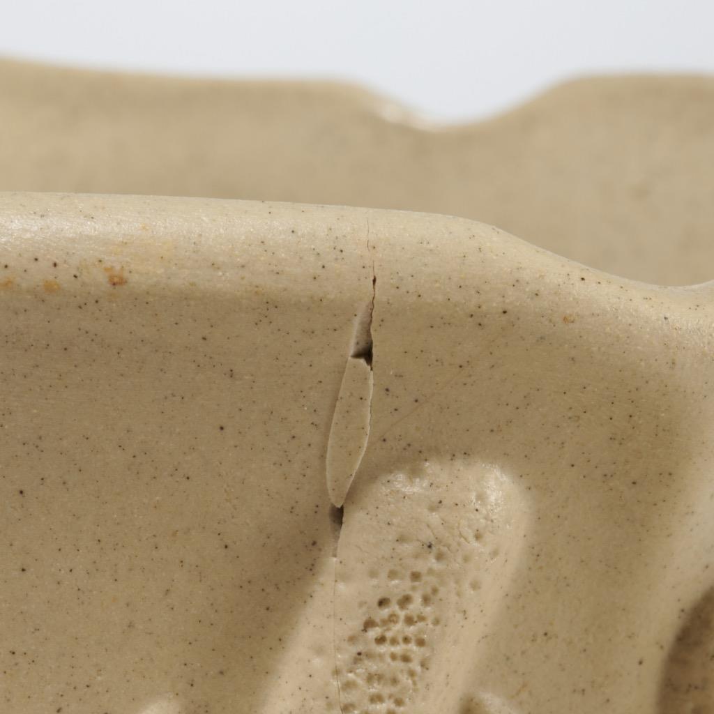 Ridgeway & Sons? Earthenware Bullrush Pitcher Jug 8″h