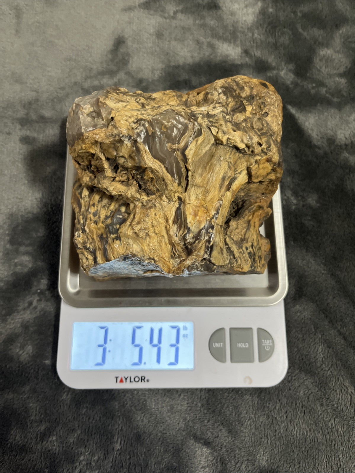 Petrified Wood Knot Agitized 3.5 Pounds / 1515 Grams 5”x4 1/2”x3 1/2”