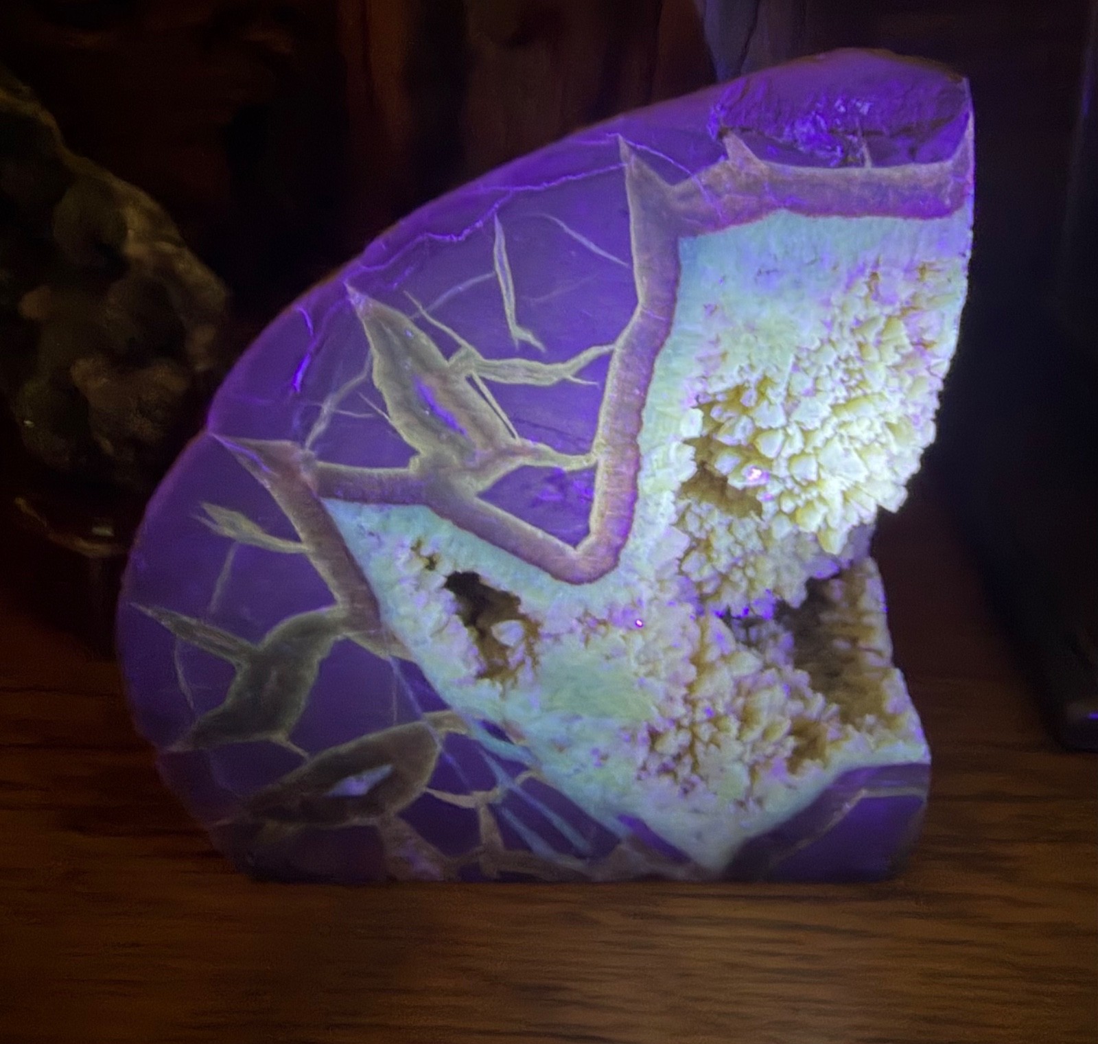Septarian Geode. Pie Shape Cut. 3.5 Pounds. 4.5” x 5”