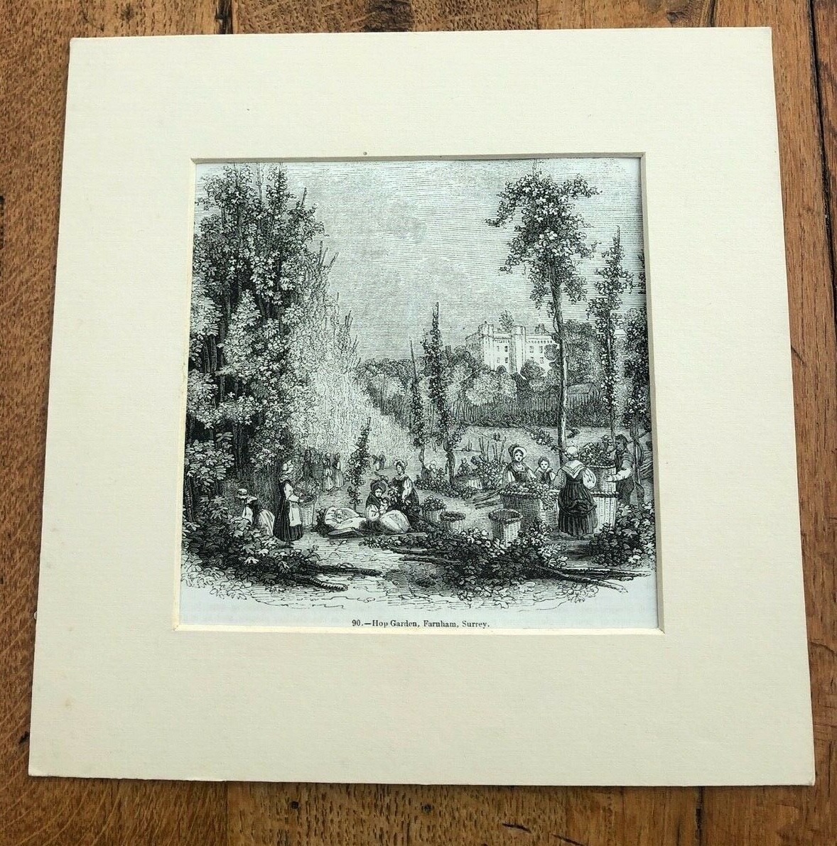 1847 mounted print – hop garden ! farnham surrey .