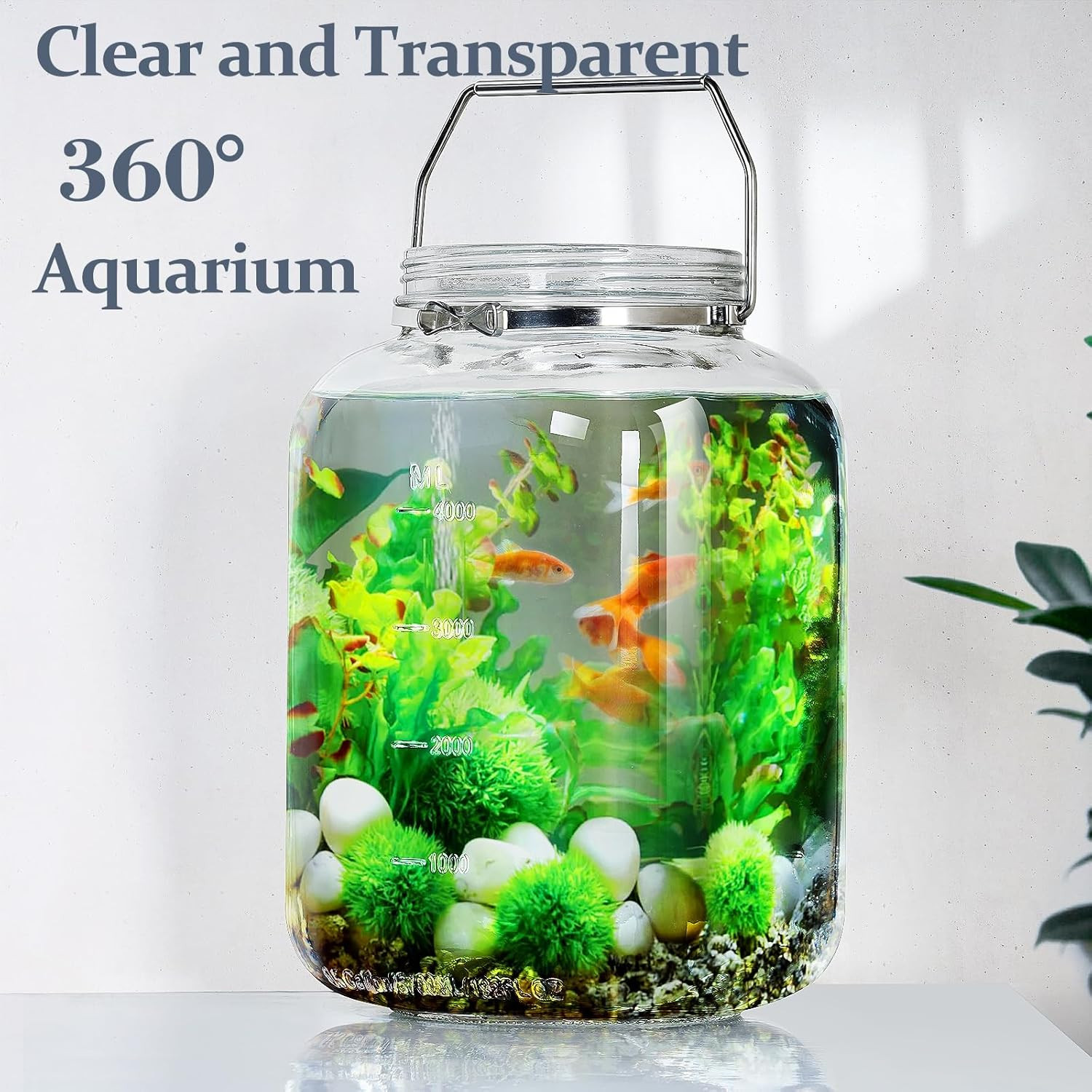 2 Pack 1.5 Gallon Glass Jar with Lid Wide Mouth, Large Mason Jar with Airtight S
