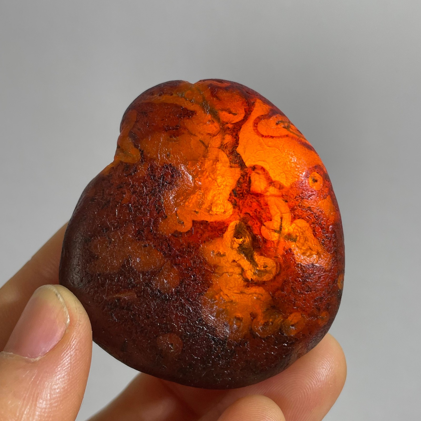 61g Bonsai Suiseki- Gobi Agate Eyes Stone-Rare Stunning Viewing