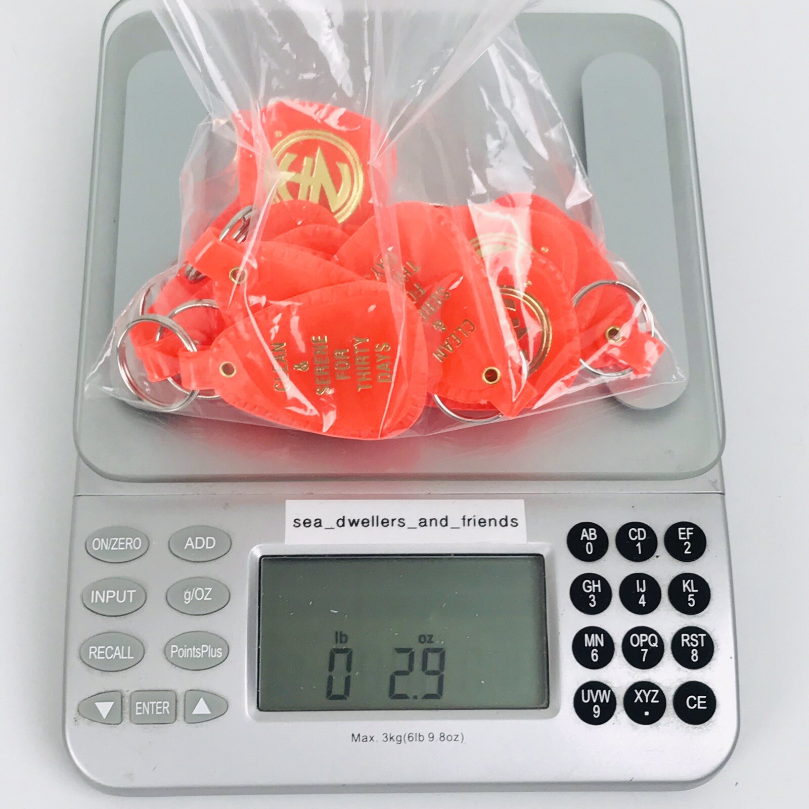 NARCOTICS ANONYMOUS NA KEY TAG Orange 30 Days Recovery 12 Piece English