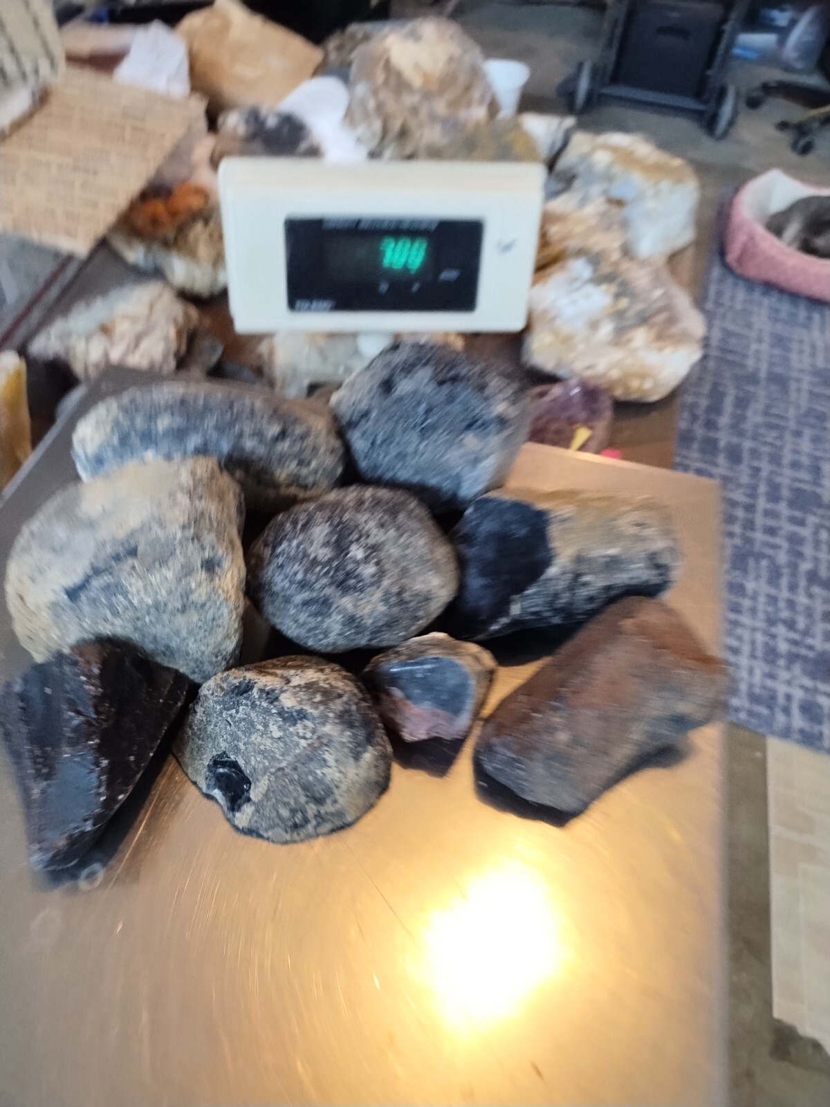 Obsidian for knapping, or slabbing 7 LB Lot, Rough, all Natural