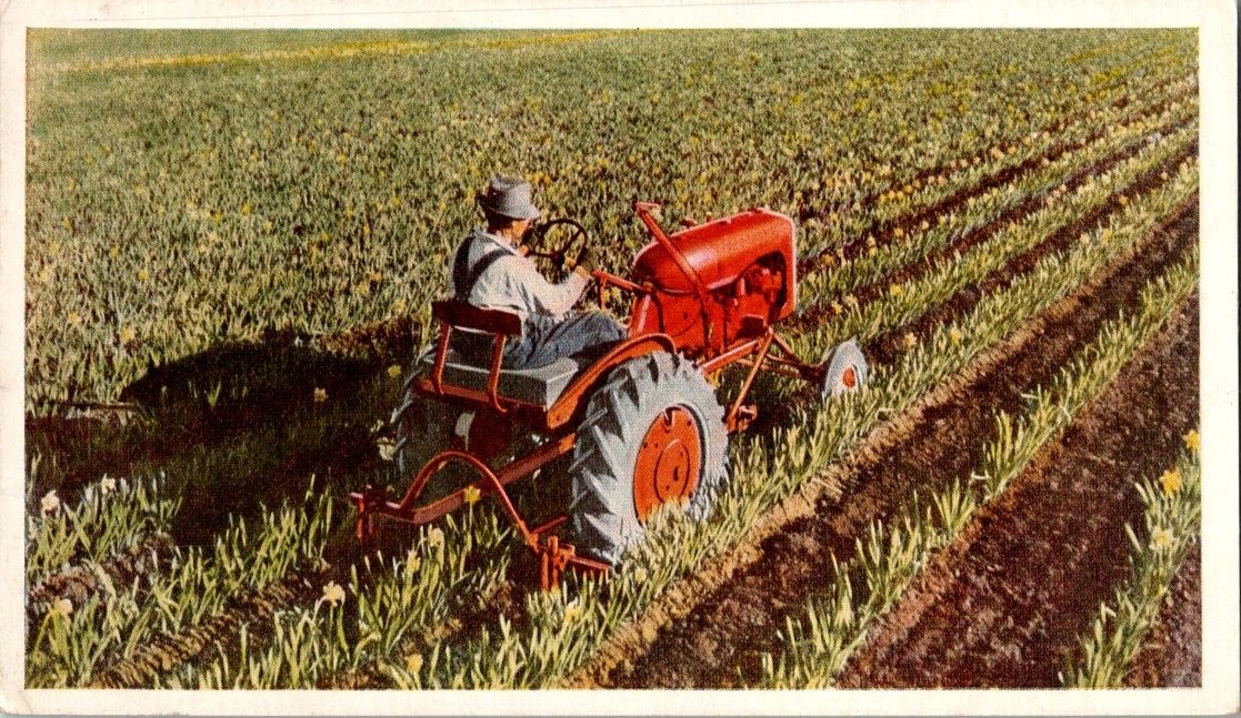 Allis-Chalmers Model B Tractor Daffodil Field Farm Postcard 1940s Ad