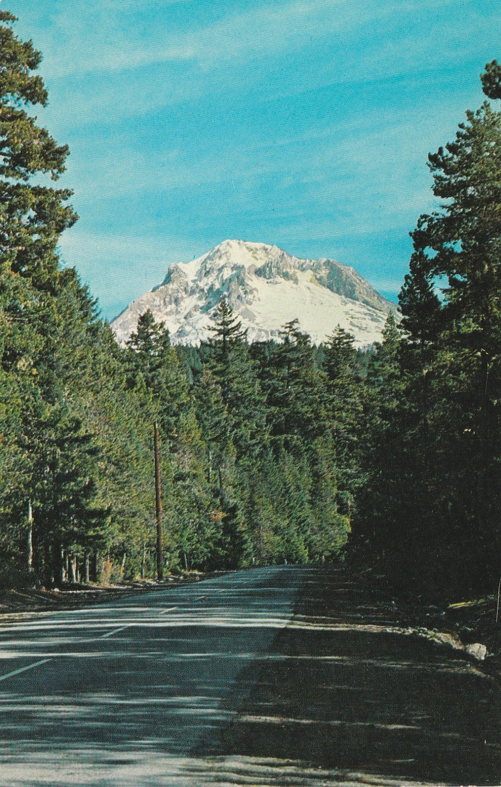Mount Hood, Pear Orchard, Oregon OR Vintage Souvenir chrome Postcard