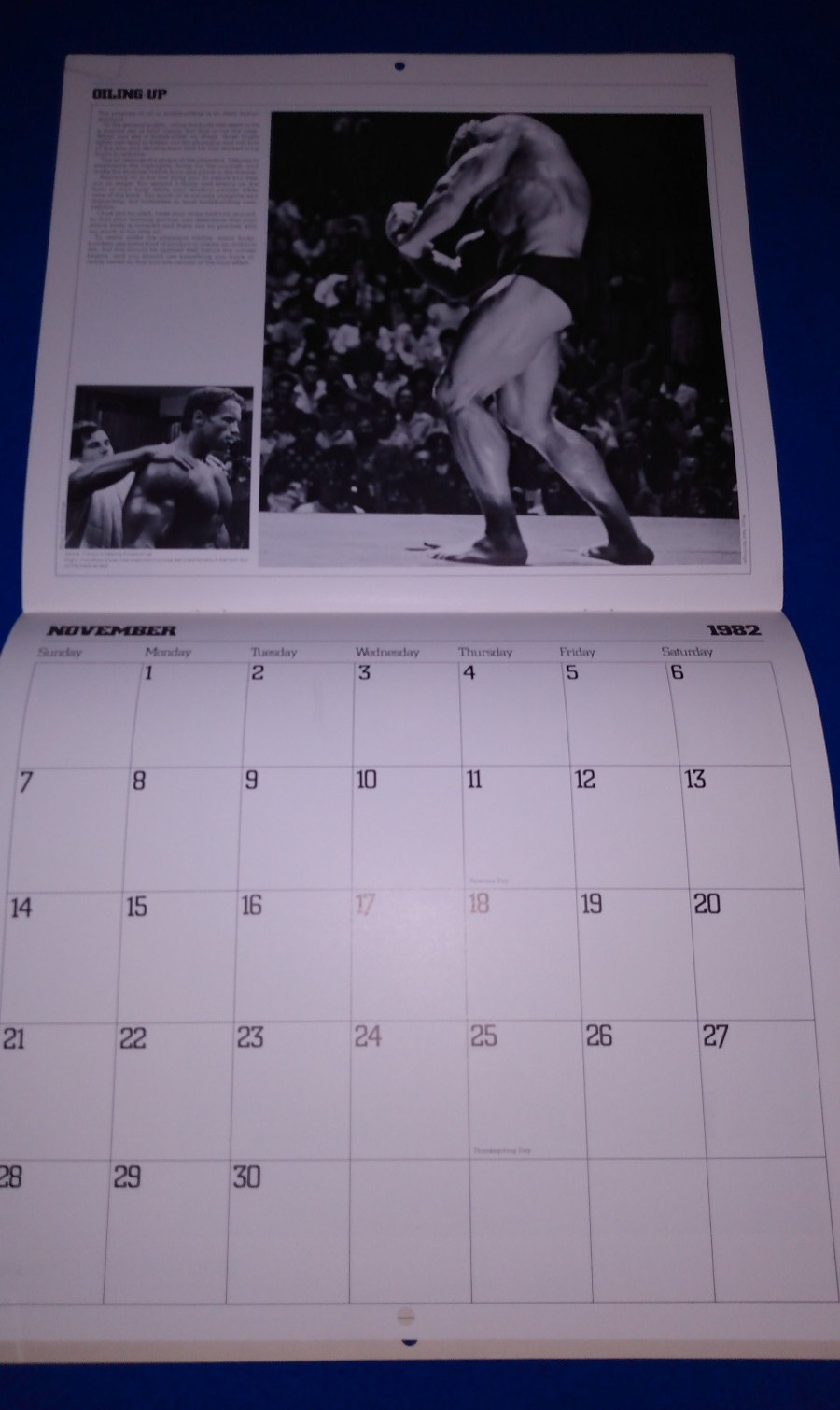 Arnold Schwarzenegger Calendar 1982 Vintage Bodybuilding Unmarked Works For 2027
