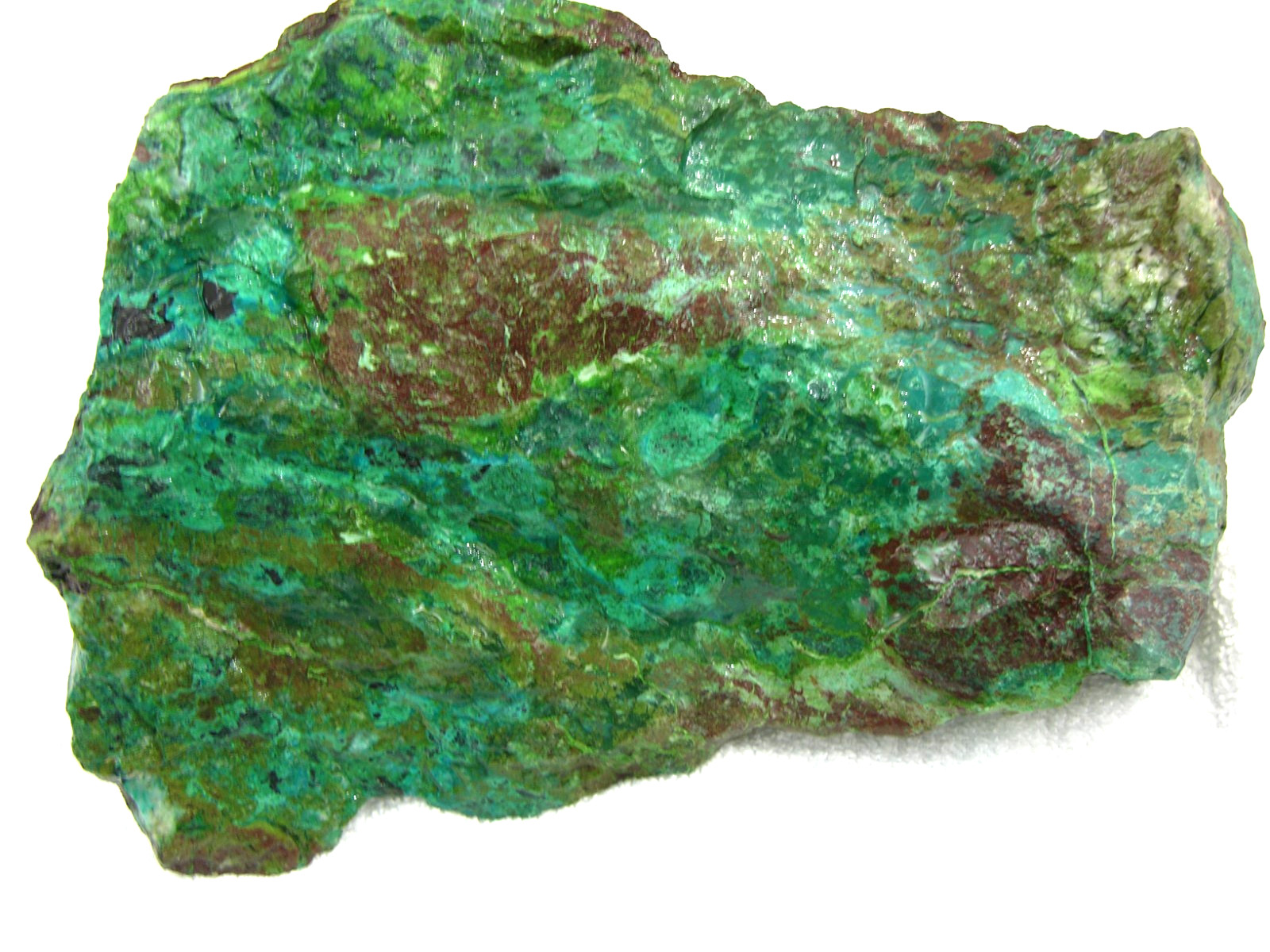 Apache chrysocolla rough blues greens Turquoise 9x6x3 inch 9.5 pounds at1