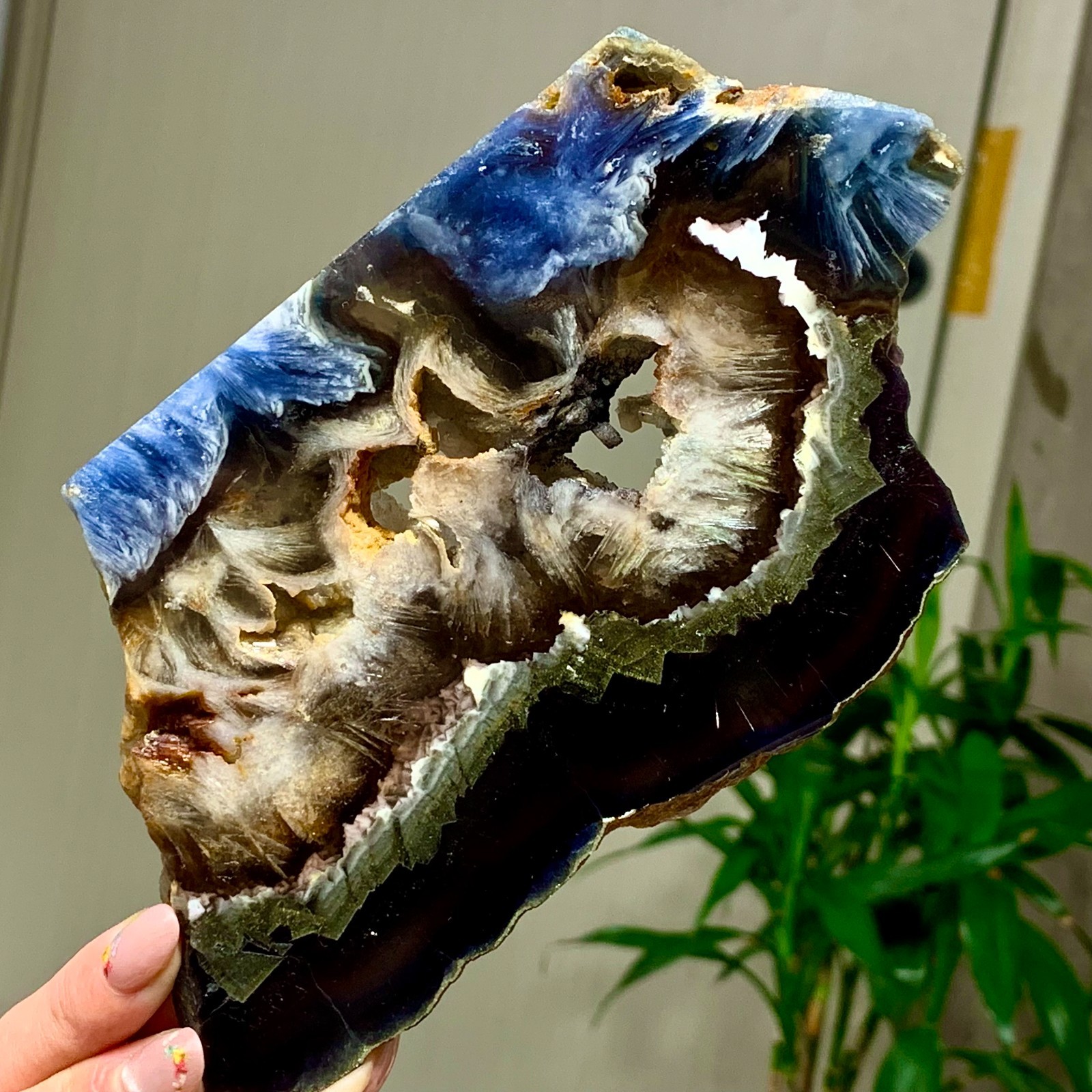 449G Natural transparent blue purple feather fluorite slice mineral