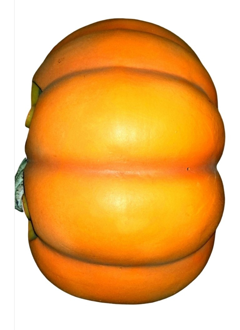 Blow Mold Pumpkin Light. Jack O’Lantern. Large. Light Up W/ Cord. Not Included.