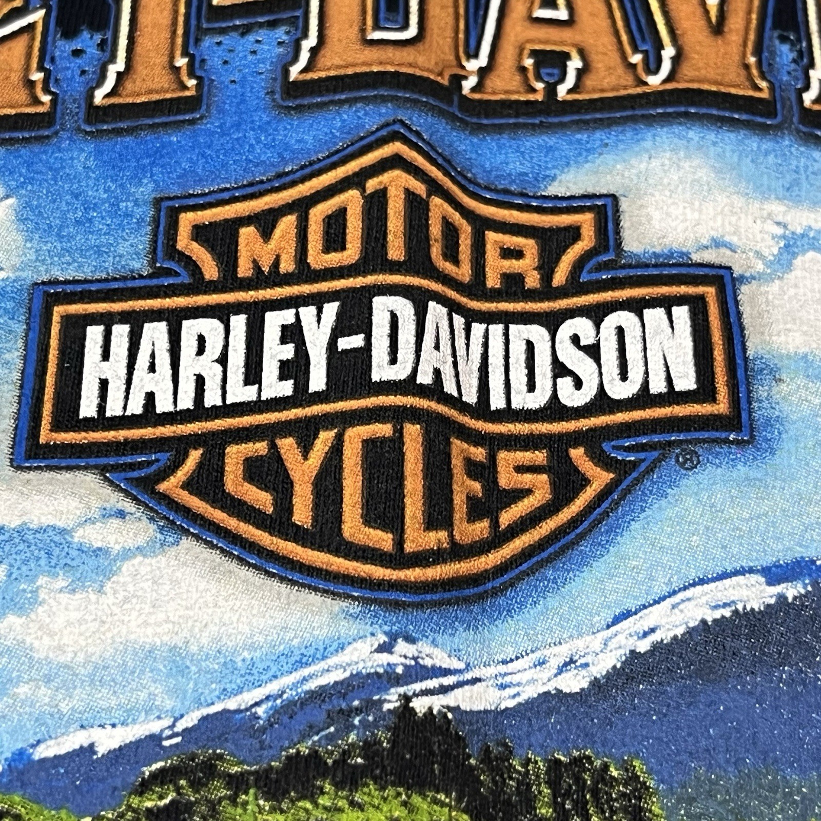 Harley Davidson Inside Passage Ketchikan Alaska Motorcycle T-Shirt NWOT Navy XL