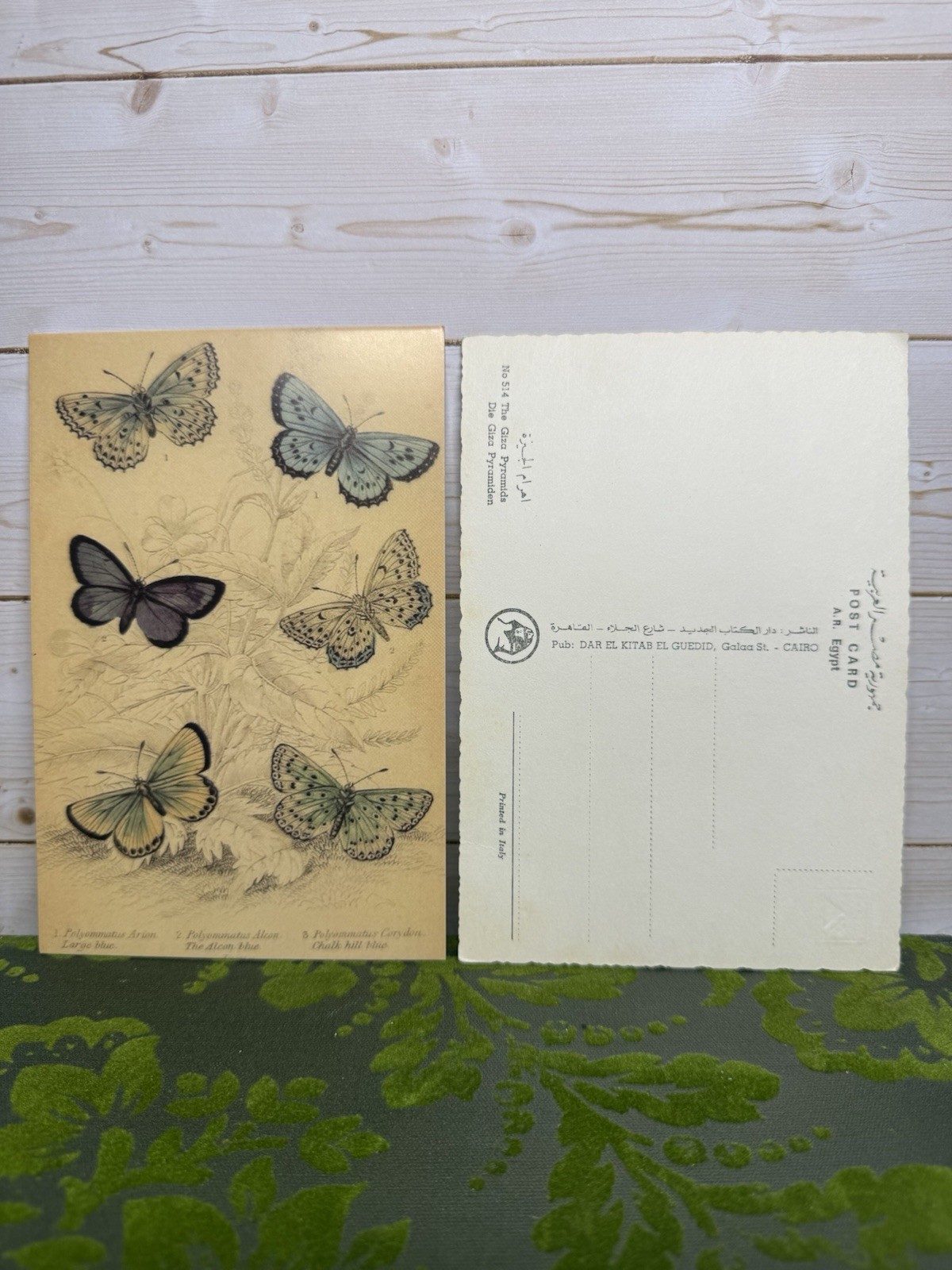 1 Random Vintage Postcard- Styles Will Vary