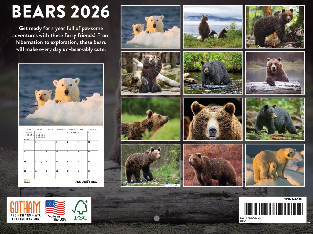 Bear Calendar 2026 Bears Monthly Wall Calender 12 Month 12×18