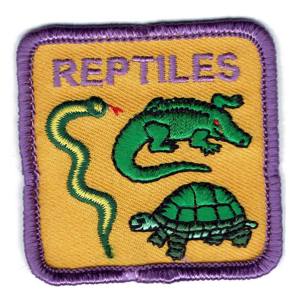 Girl Cub Boys REPTILES turtle snake lizard Fun Patches Crests Badges SCOUT GUIDE