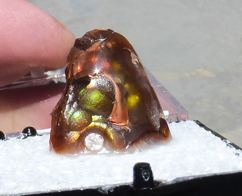 COLORFUL Fire Agate specimen + display box & label SE Arizona (2.70 grams)