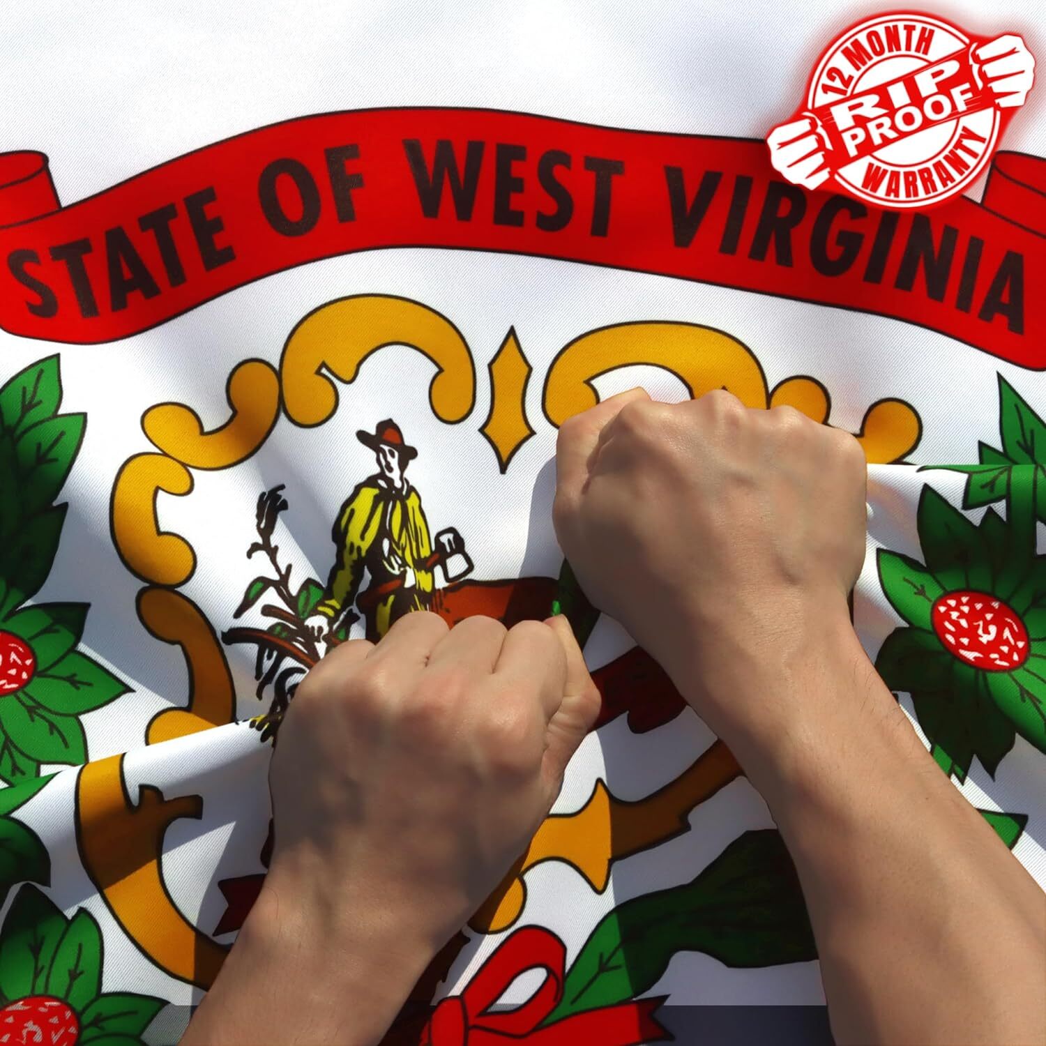 Anley Rip-Proof Double Sided 3-Ply West Virginia State Flag 3×5 Ft WV Flags