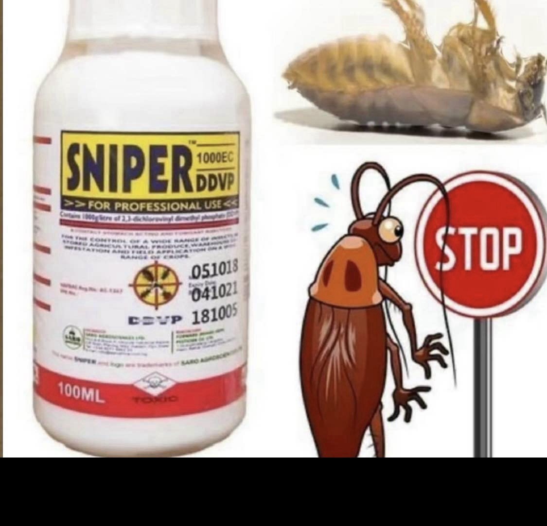 1 Sniper 1000EC