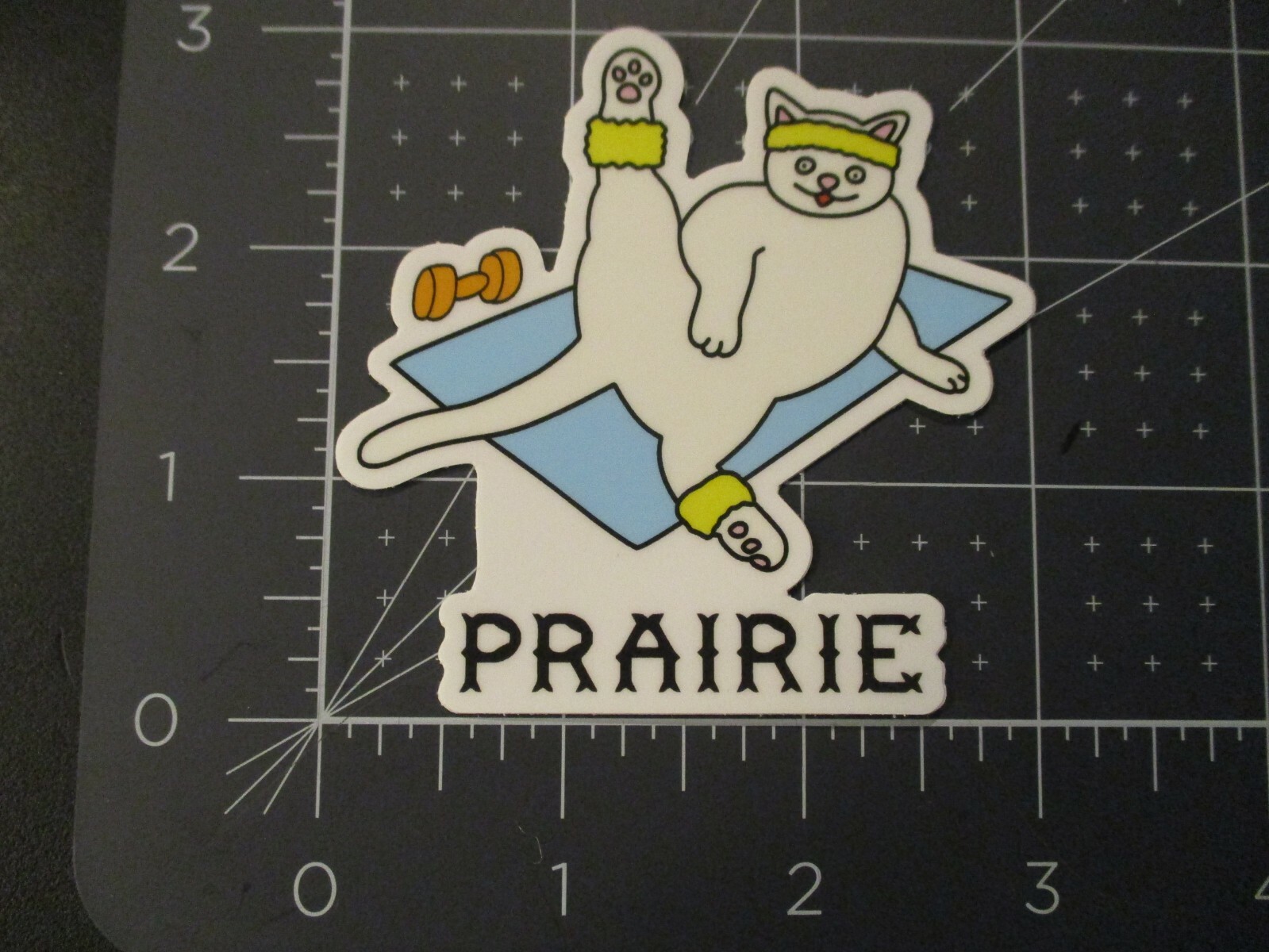 PRAIRIE ARTISAN ALES bomb! Cat Aerobics STICKER decal craft beer brewery brewing