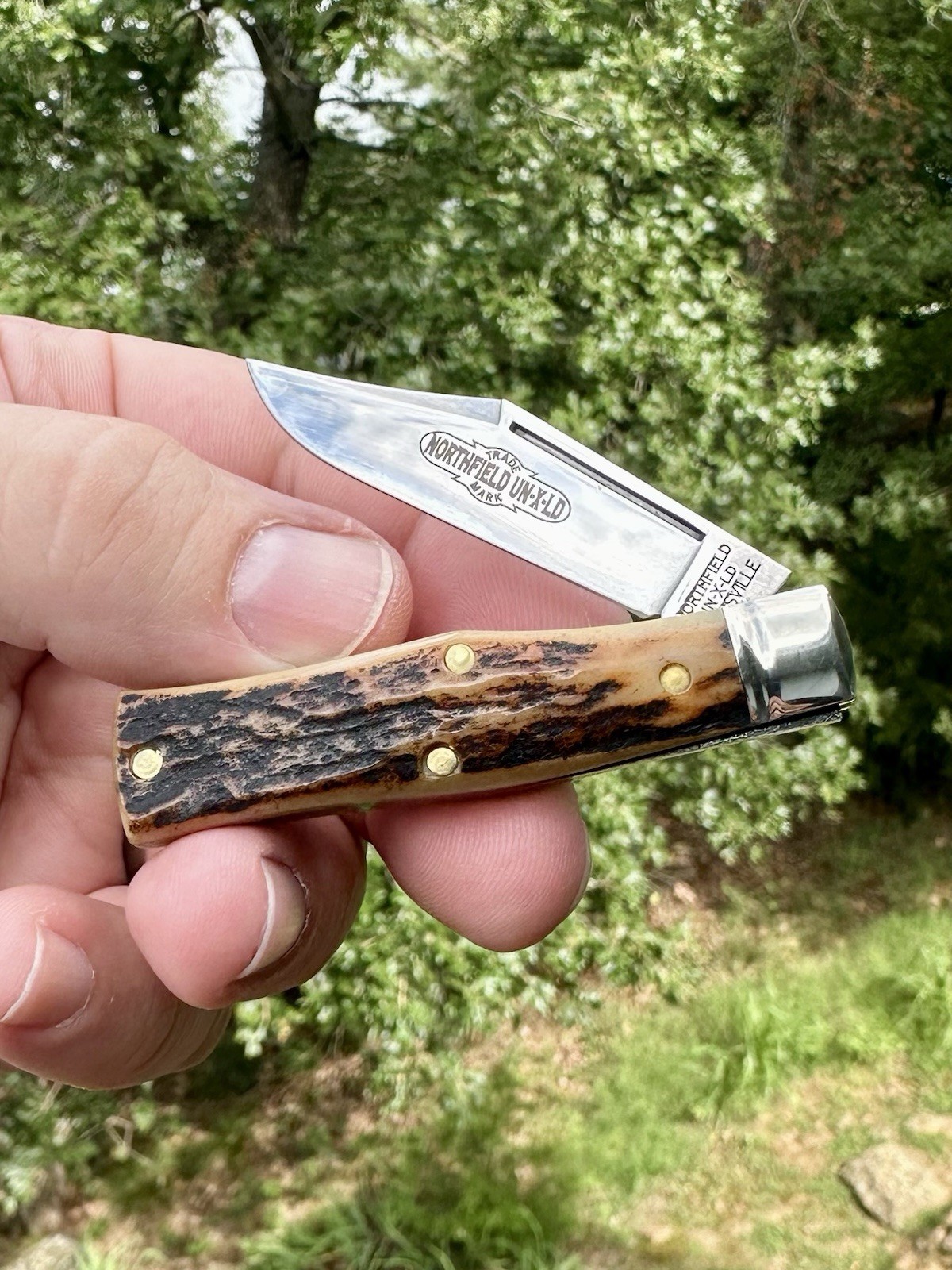 NEW FAT Sambar Stag GEC Great Eastern Cutlery 22 Northfield Magnun Gunstock