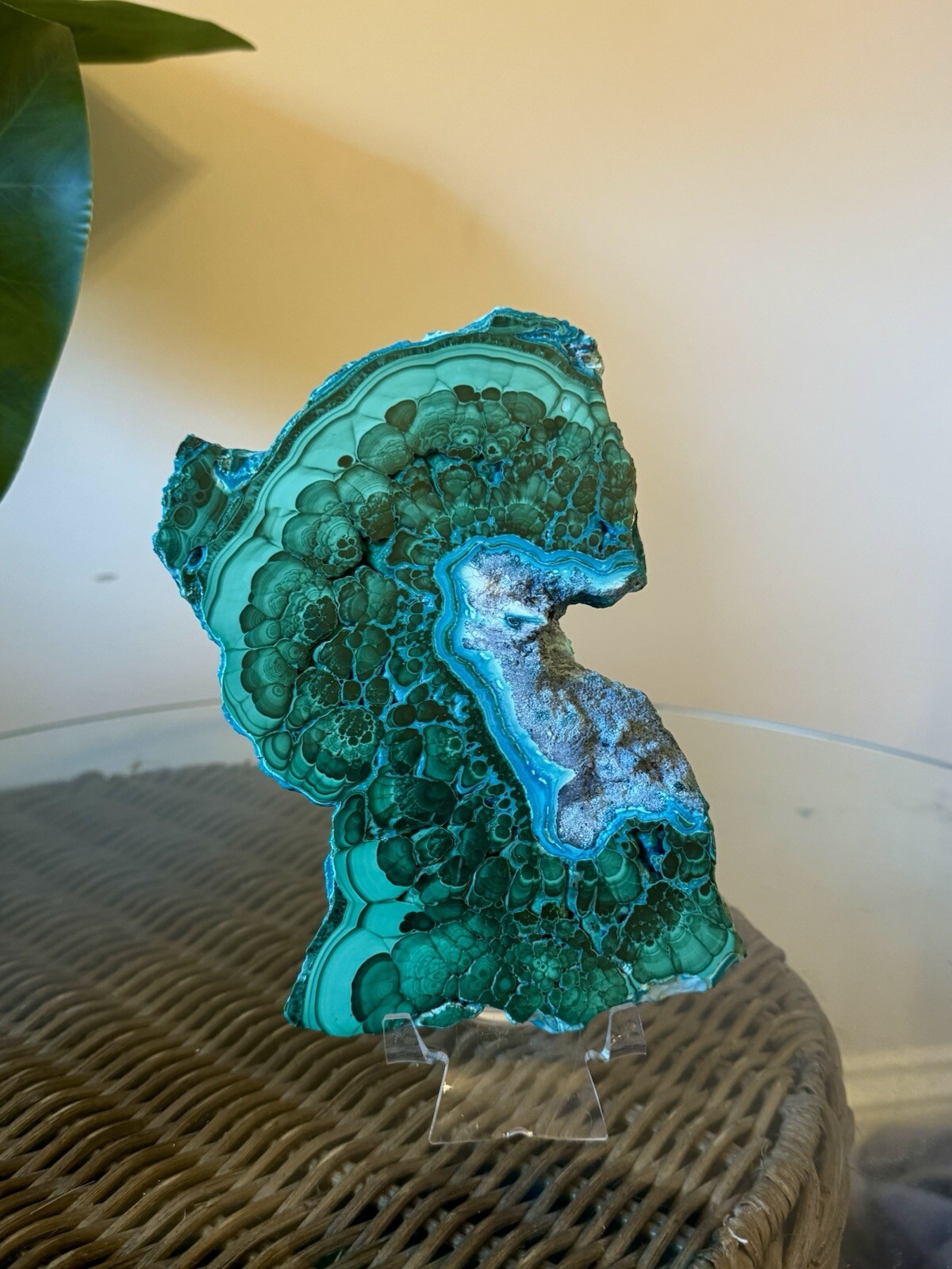 Natural Malachite And Chrysocolla Slab. 5 By 3 Inches.