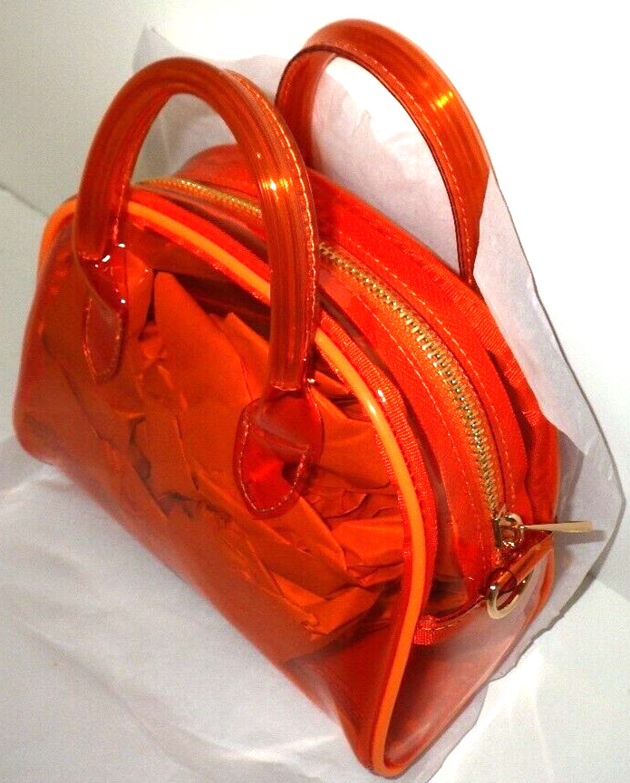 DISNEY accommode COWRAP CLEAR MICRO BOSTON Winnie the Pooh TIGGER 2way Japan New