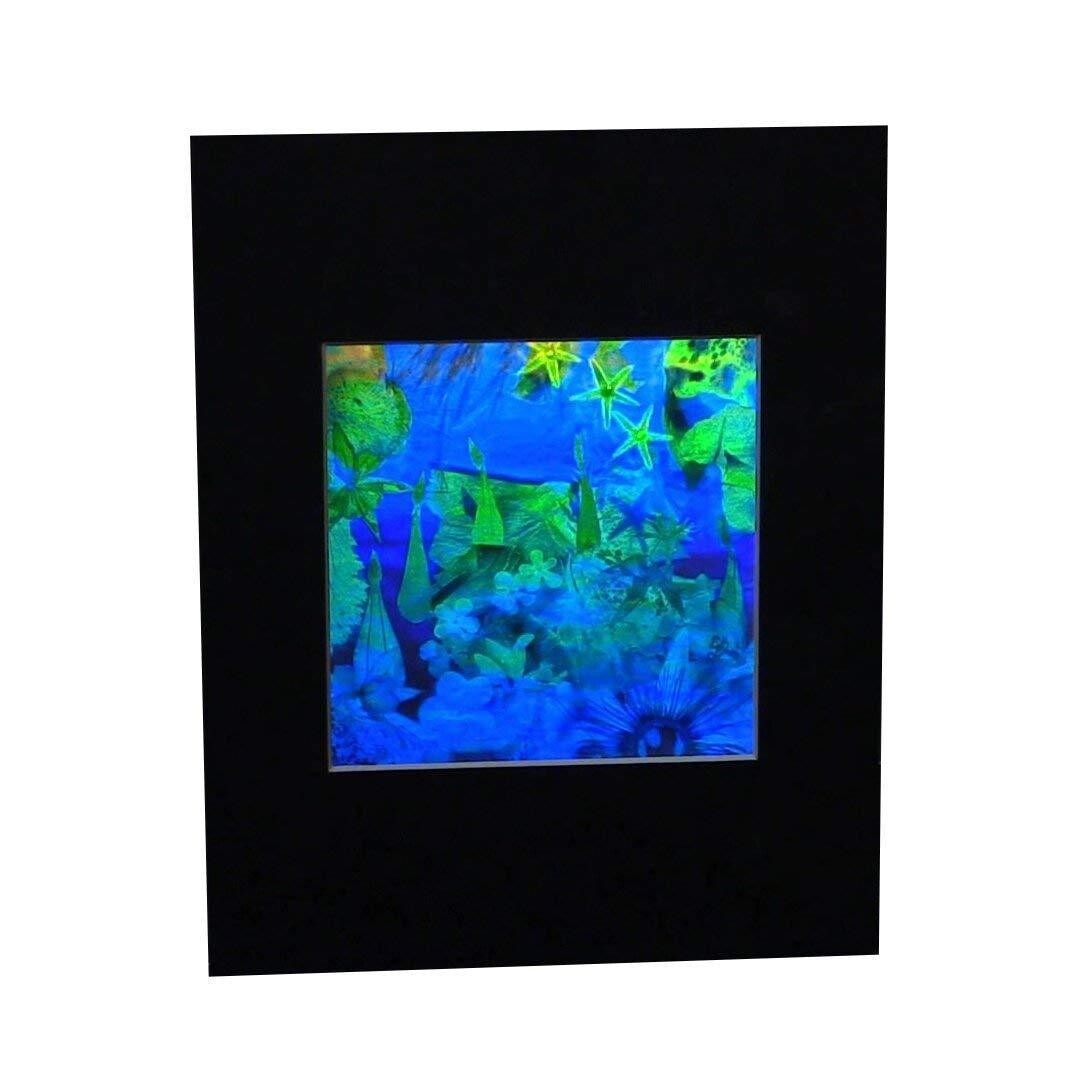 3D Undersea Hologram Picture MATTED, Collectible EMBOSSED Type Film