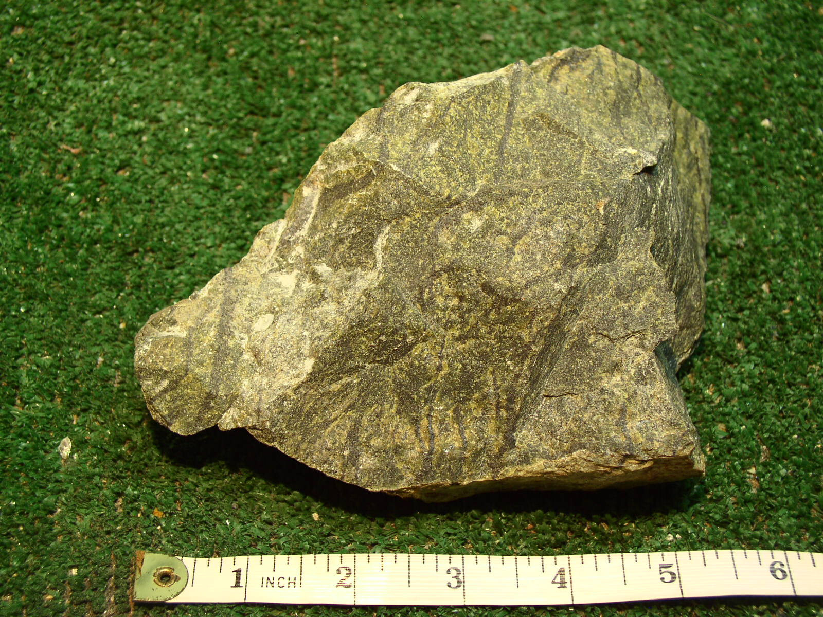 Lizard Serpentine Chunk 2.5 Pounds Lb Large rough