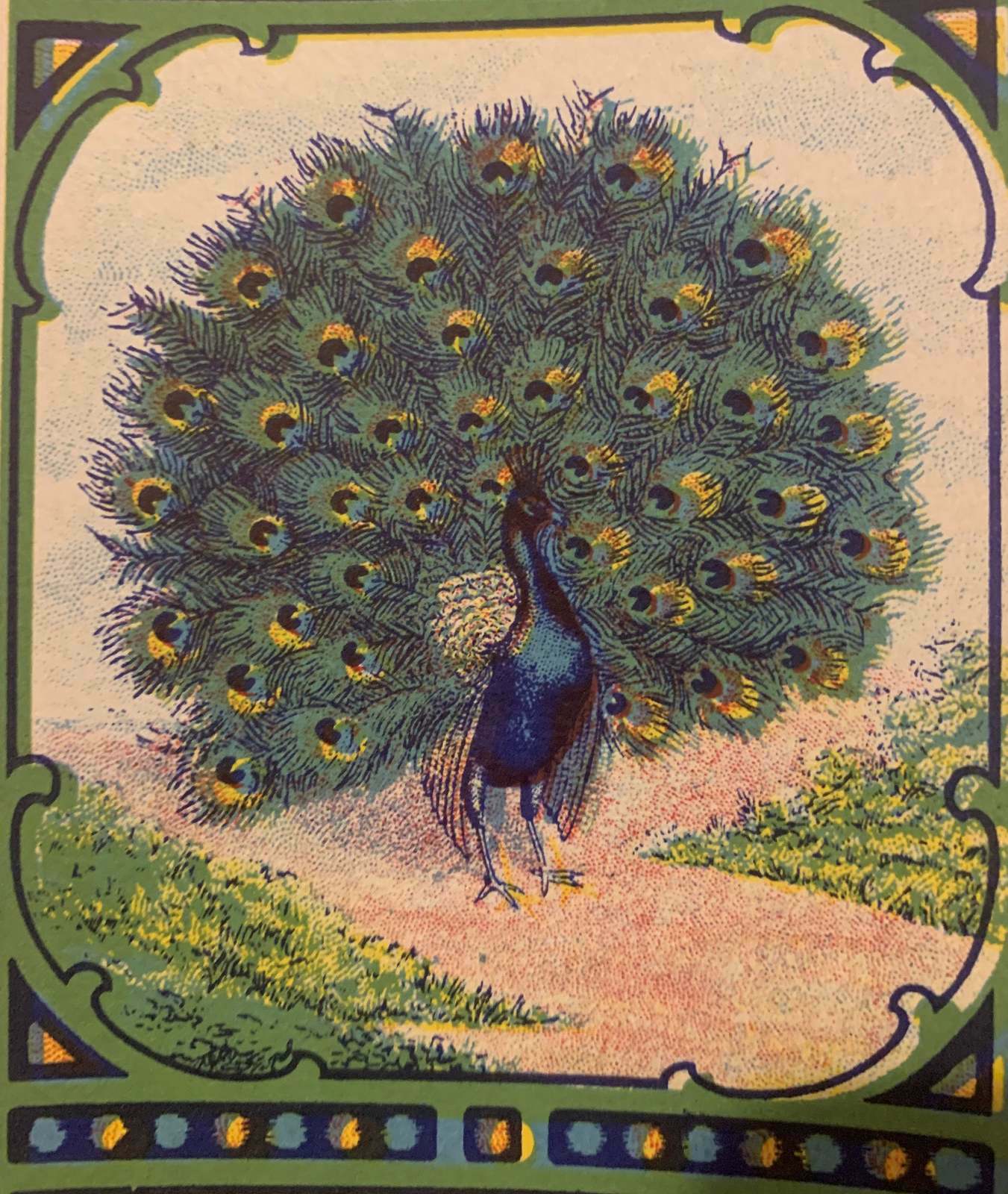 Antique Vintage 1910s – 1940s Peacock Broom Label, Beautiful Americana!