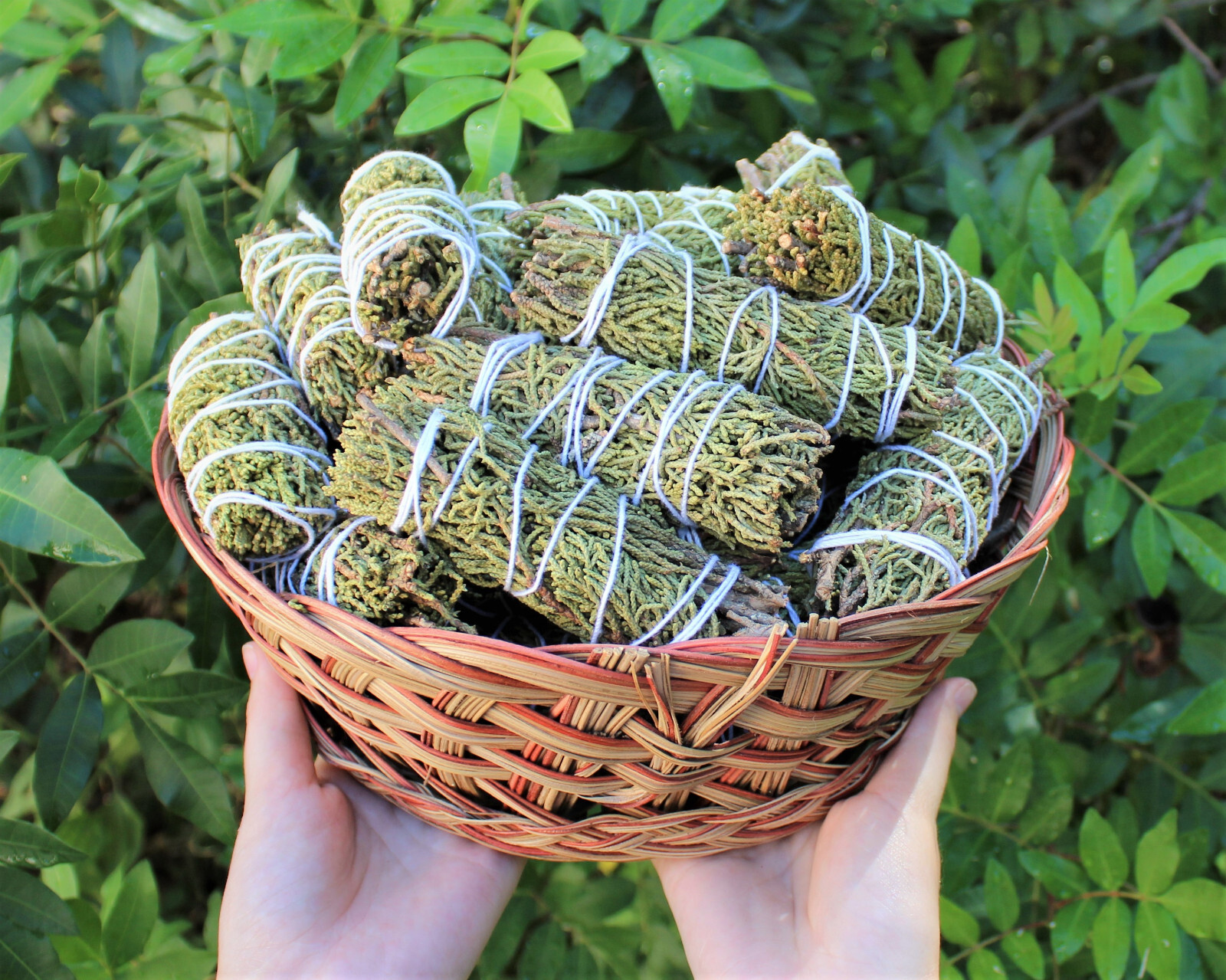 Juniper Sage Smudge Stick: 3 Wand Pack (Herb House Cleansing Negativity Removal)