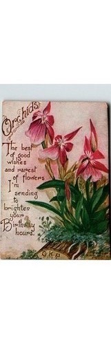 G.K. Prince Orchids Card 1911 Buffalo NY Embossed Floral Birthday Mailer