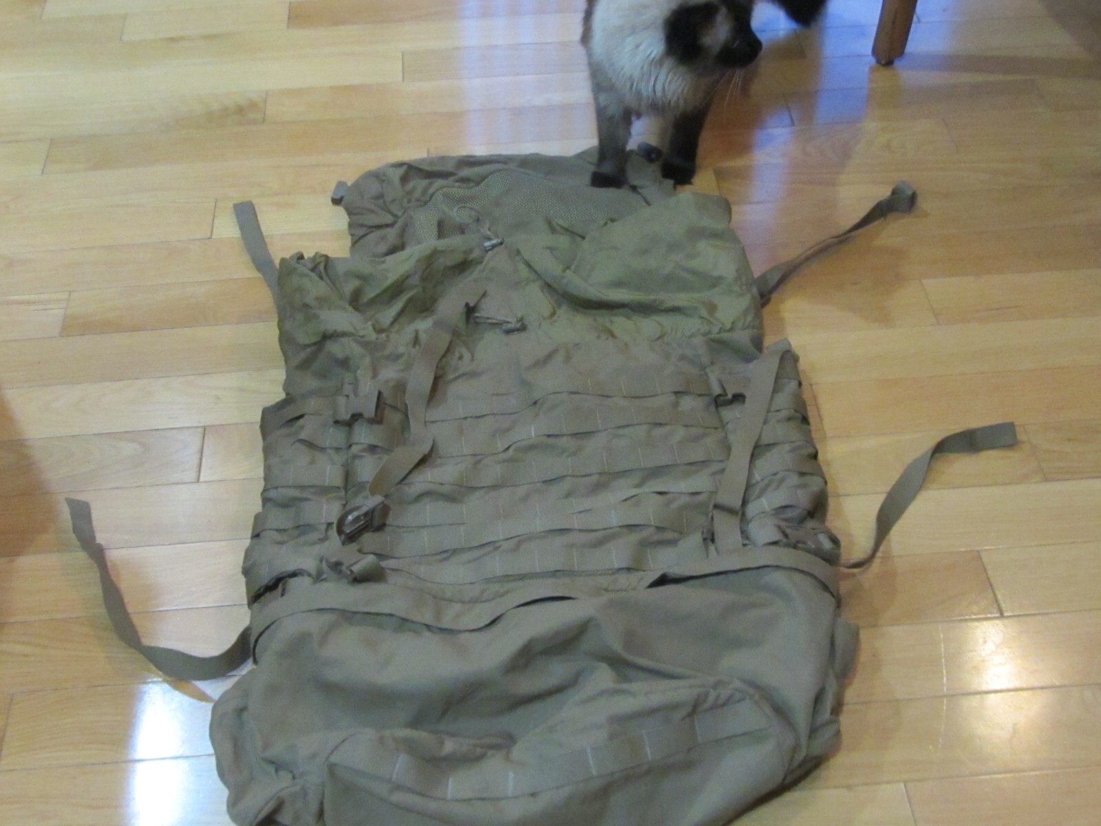 USMC FILBE Rucksack Main Pack Only 8465-01-598-7693 Replacement Pack! EXC COND!