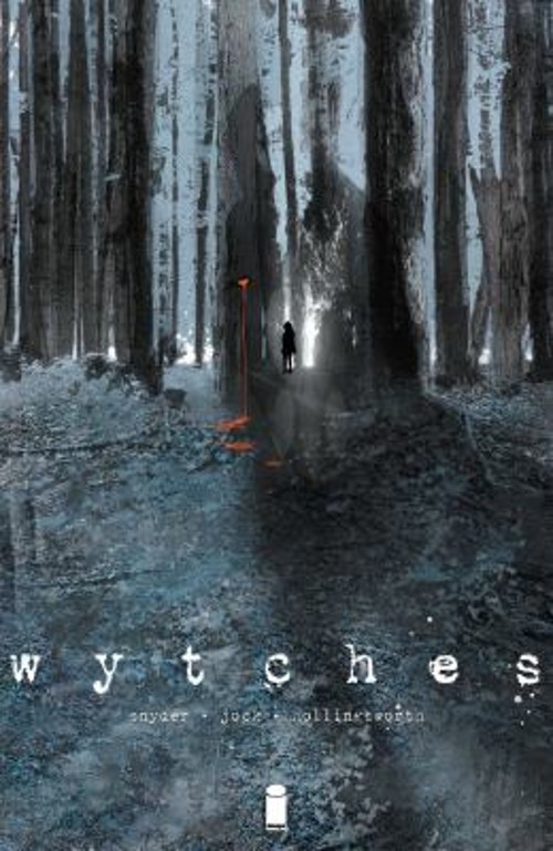 Wytches Volume 1 Paperback Scott Snyder