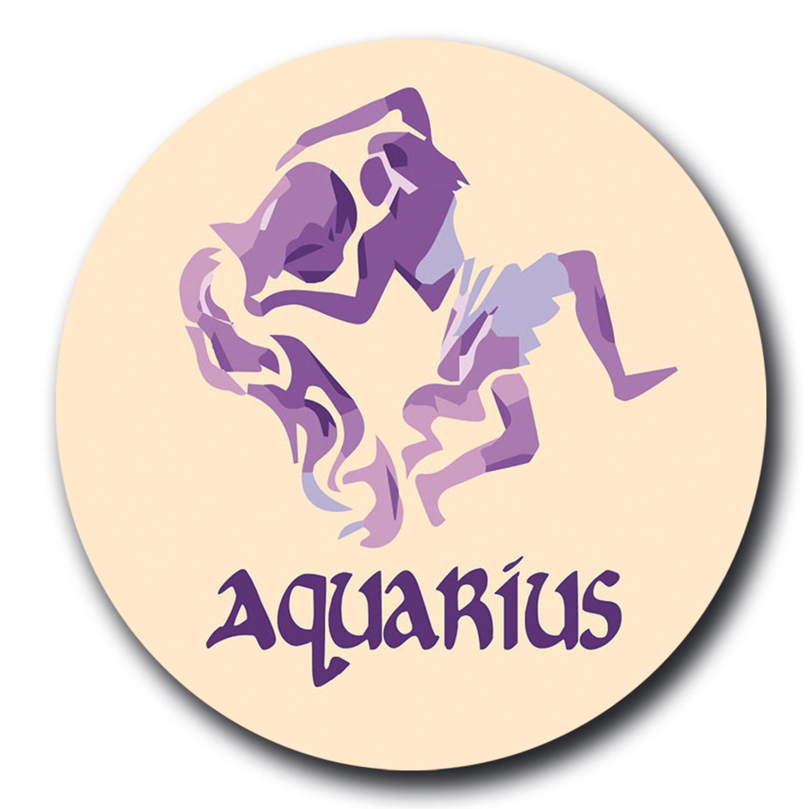 Magnet Me Up Aquarius Zodiac Sign Fridge Magnet Decal, 5 Inch, Cool Collection