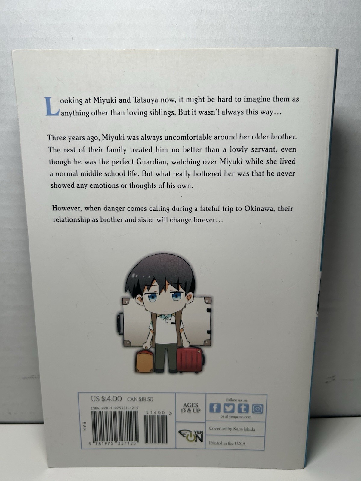The Irregular At Magic High School Volume 8 Light Novel English Reminiscence Arc