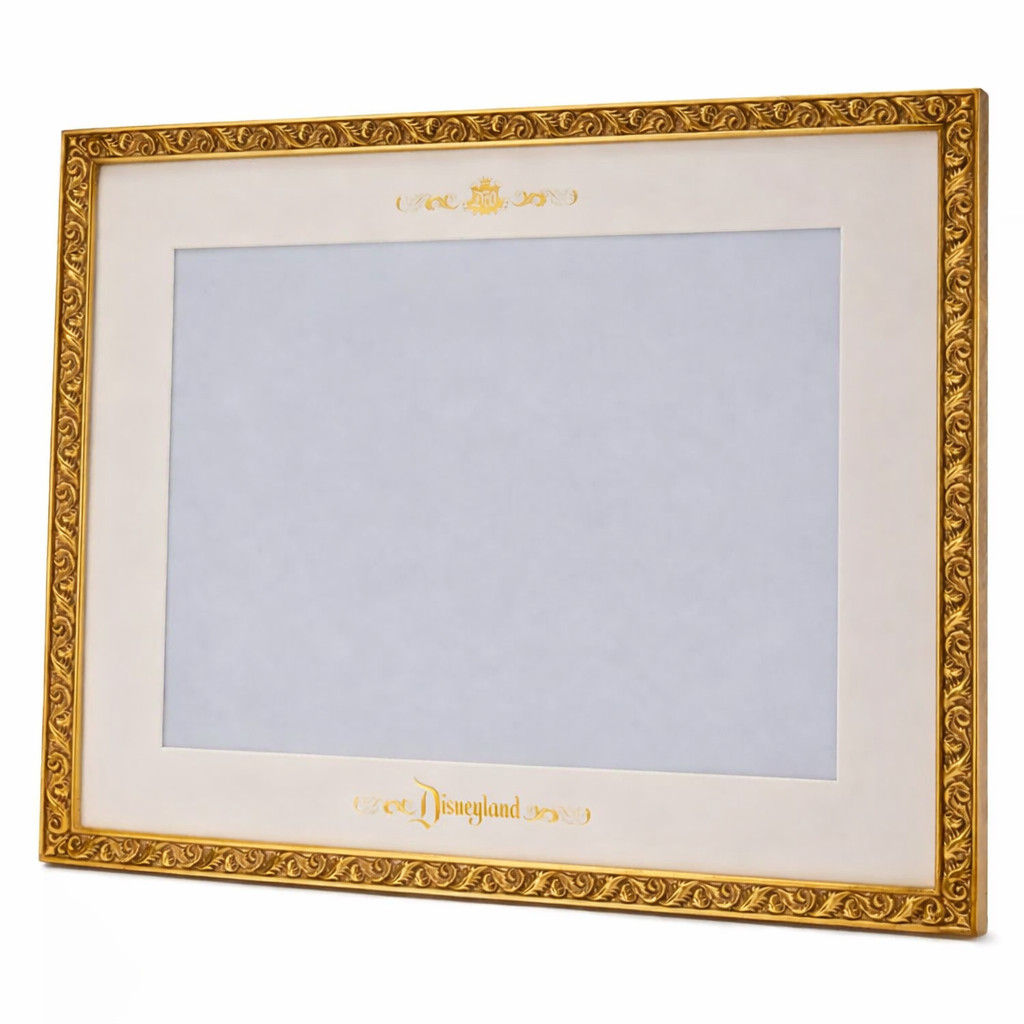 Disneyland Ornate 20 x 11 Gold Display Frame for Collector Trading Pins