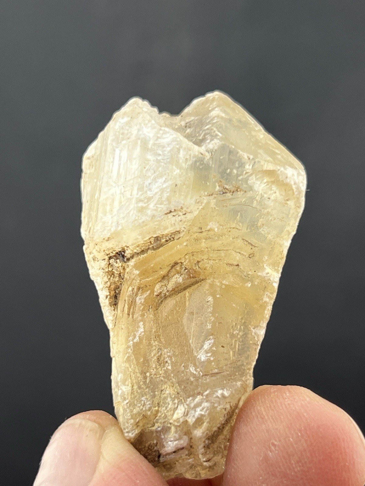 Golden Phantom Selenite Crystal, Santa Eulalia, Chihuahua, Mexico. 30 grams