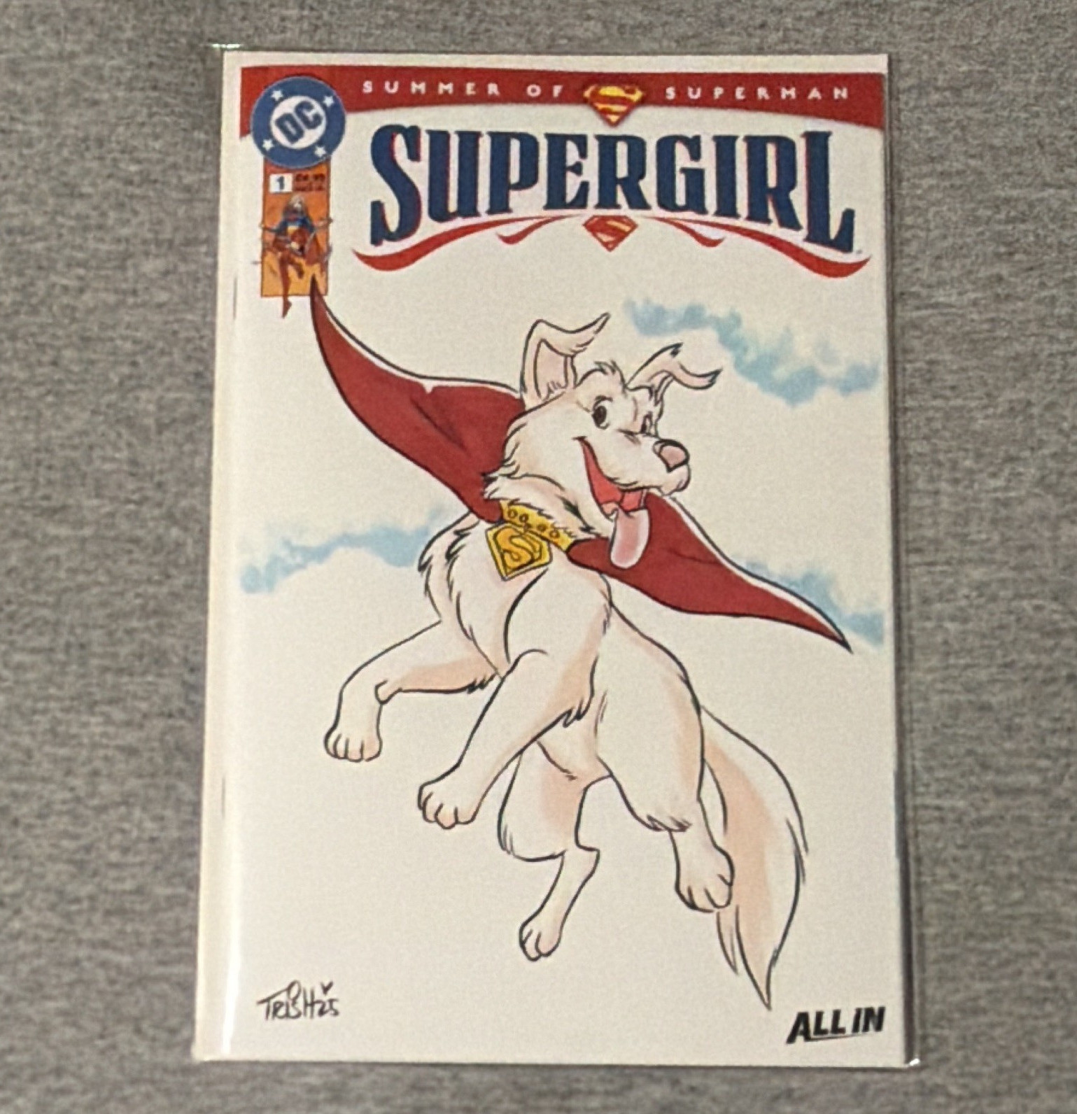 Supergirl #1 Commission Cover Trish Forstner of Stray Dogs and Feral Fame NM