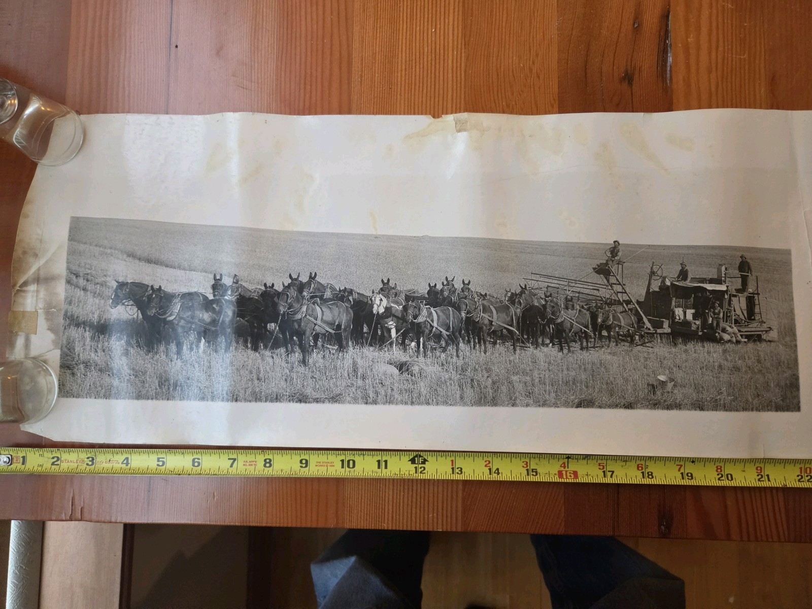 Vintage Photo,1920s,Eastern Washington,maybe Harrington,wheat farming,9×24 inch.