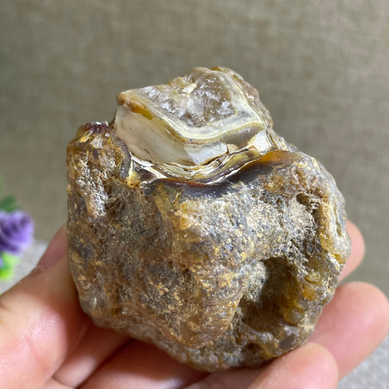 104g Bonsai Suiseki- Gobi Agate Eyes Stone-Rare Stunning Viewing