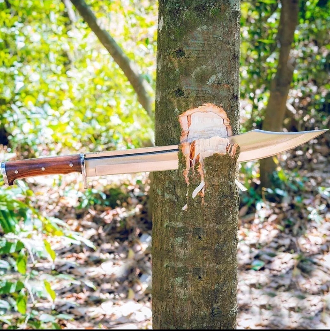 Custom Handmade Carbon Steel Blade Viking Machete Sword |Hunting Sword Camping