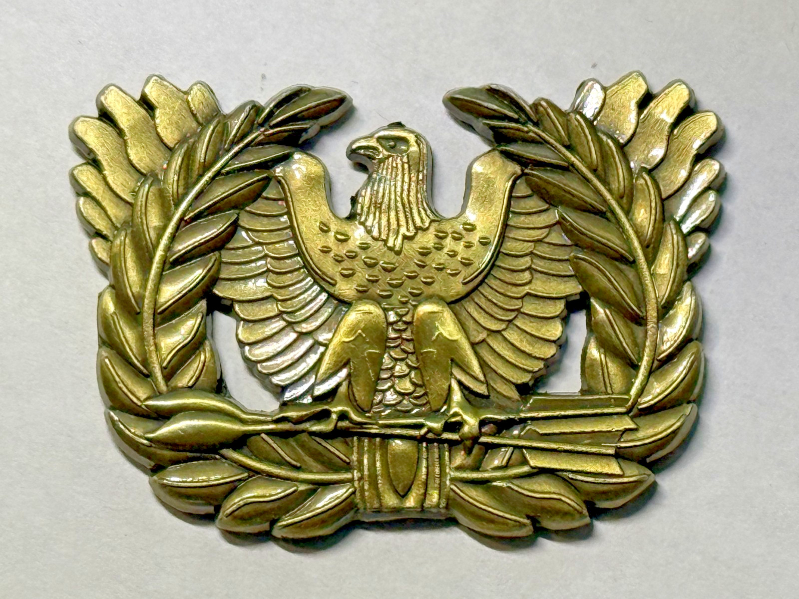 Warrant Officers Challenge Coin Eagle Oak Leaves Professionalism Representation
